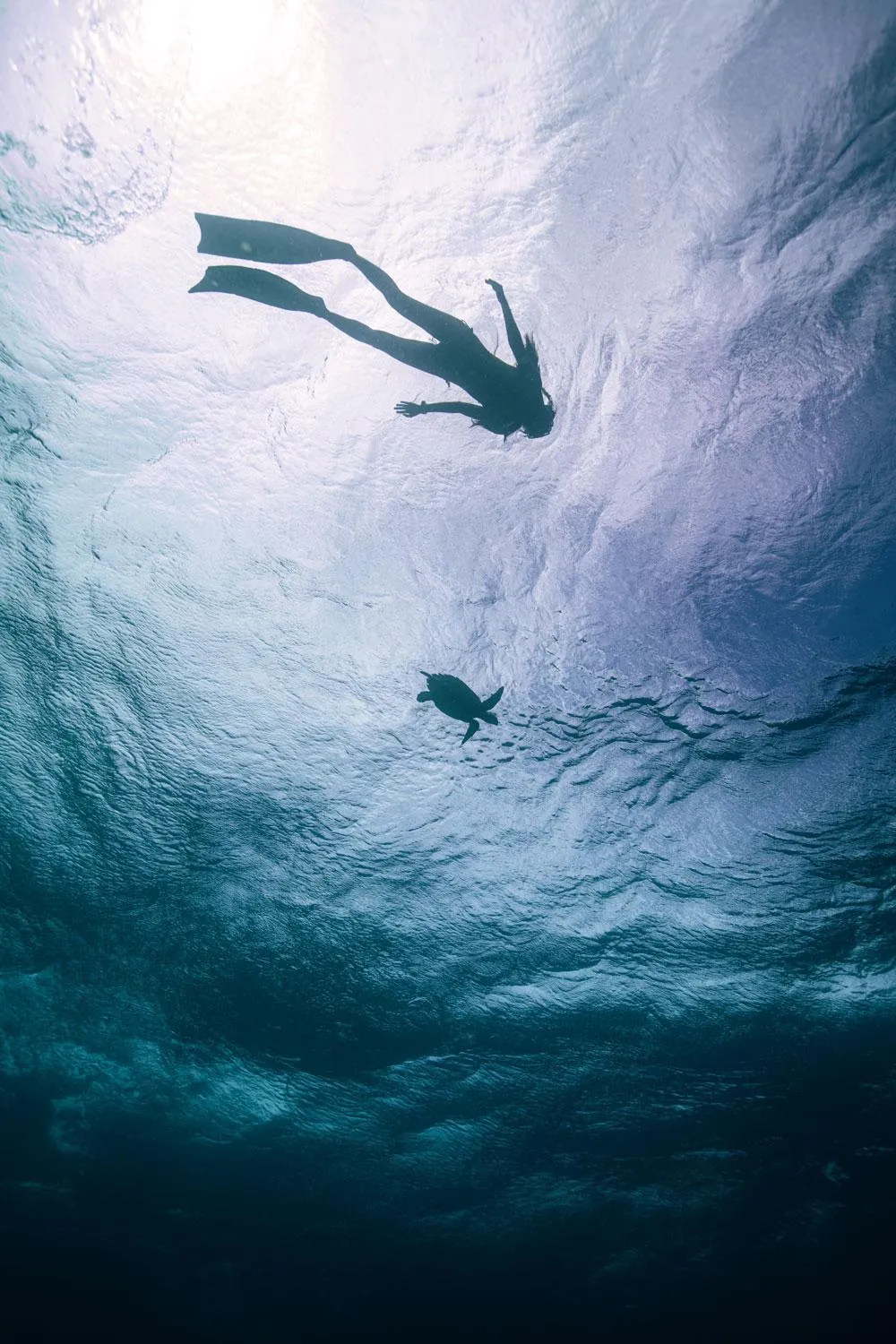 Property building in Endheri Sunset Dhangethi