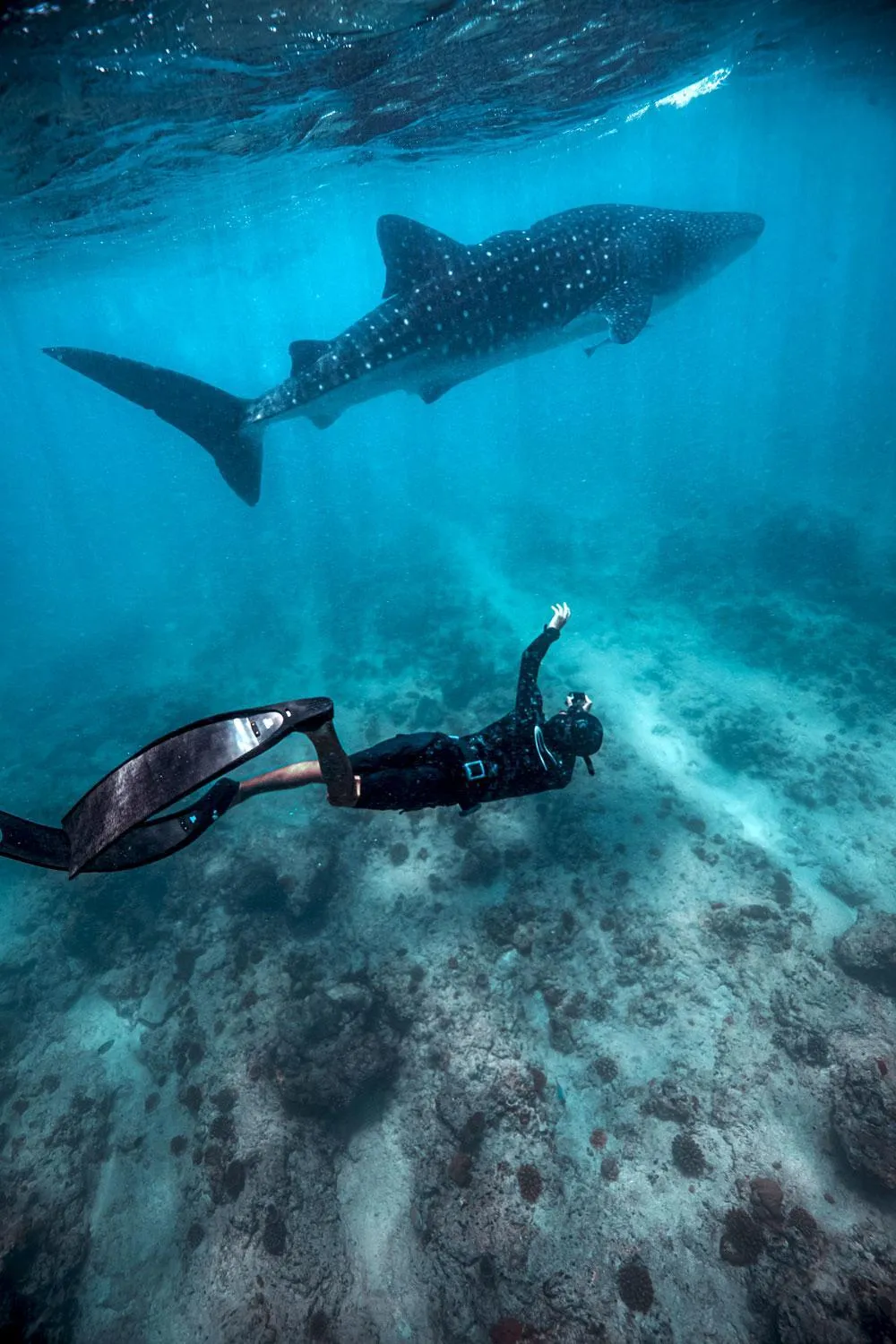 Property building in Endheri Sunset Dhangethi