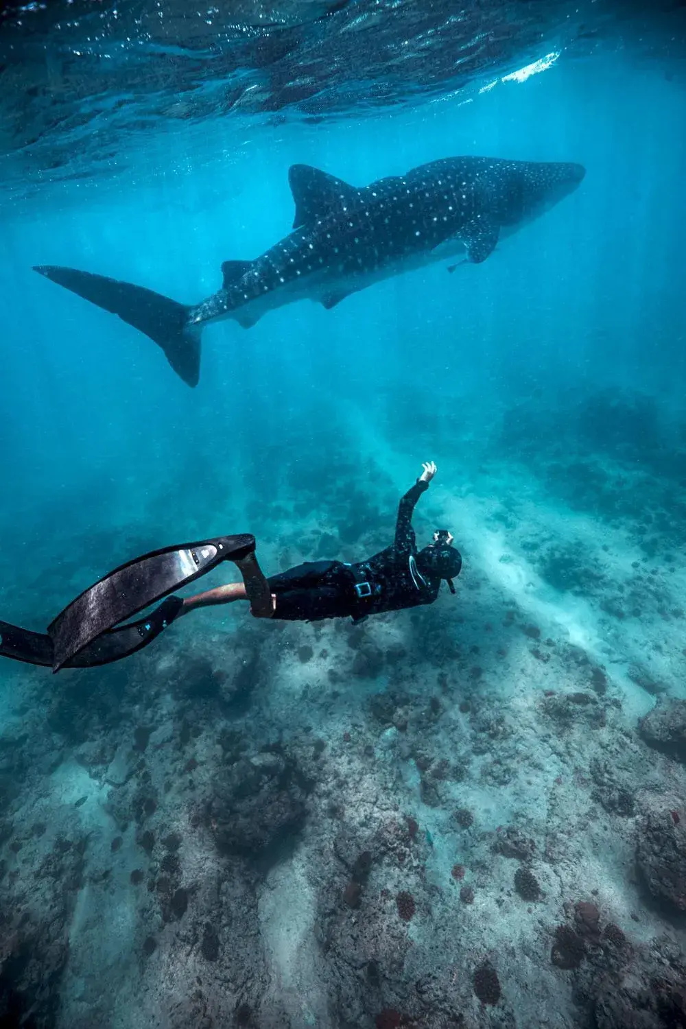 Property building in Endheri Sunset Dhangethi Property building in Endheri Sunset Dhangethi