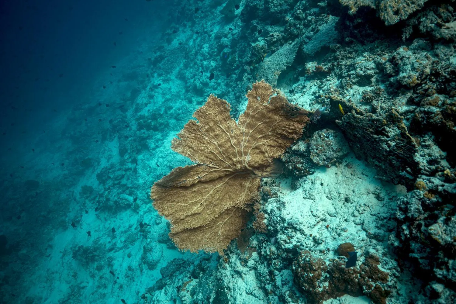 Property building in Endheri Sunset Dhangethi