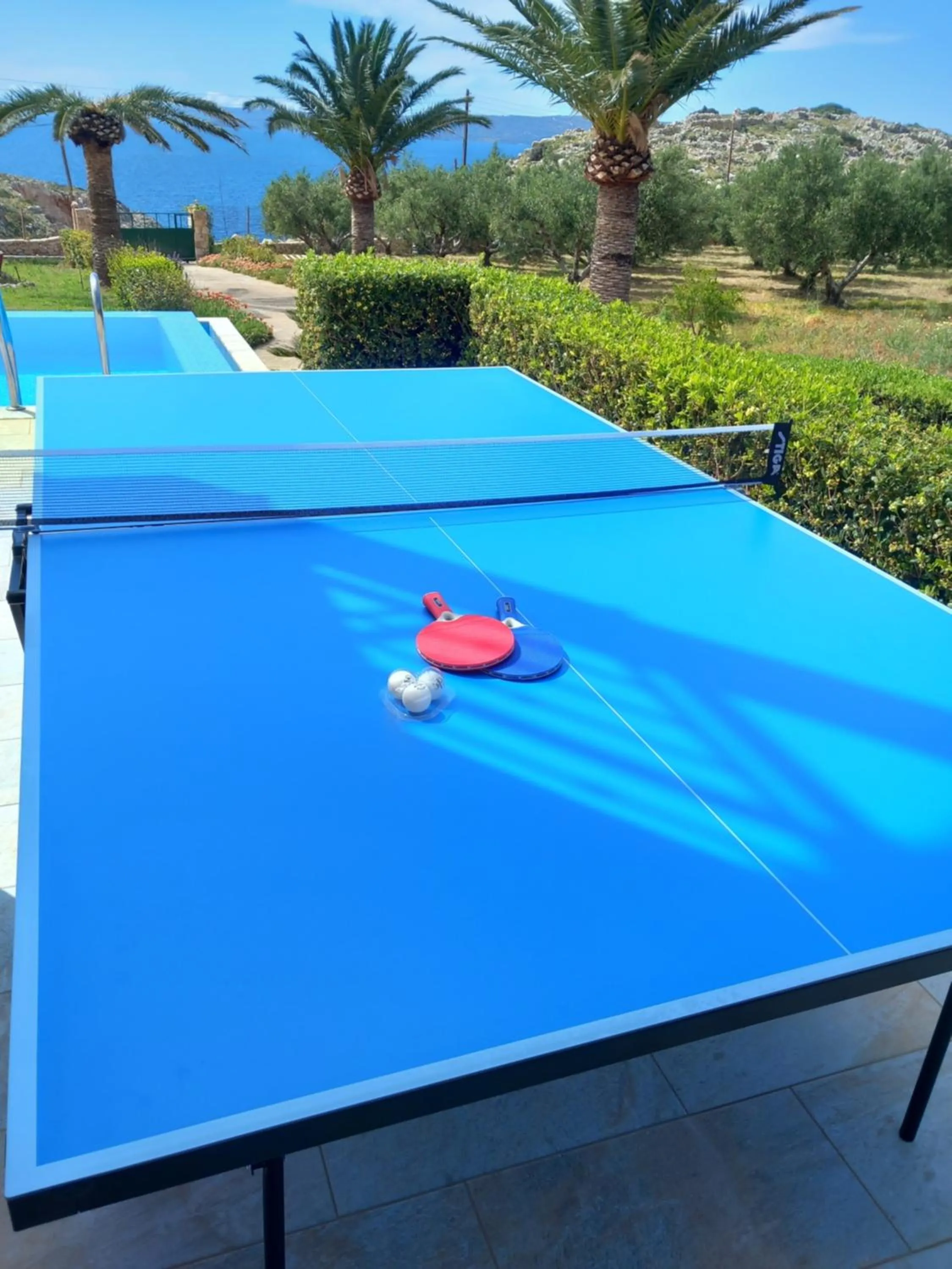 Table tennis in Villa Koutalas