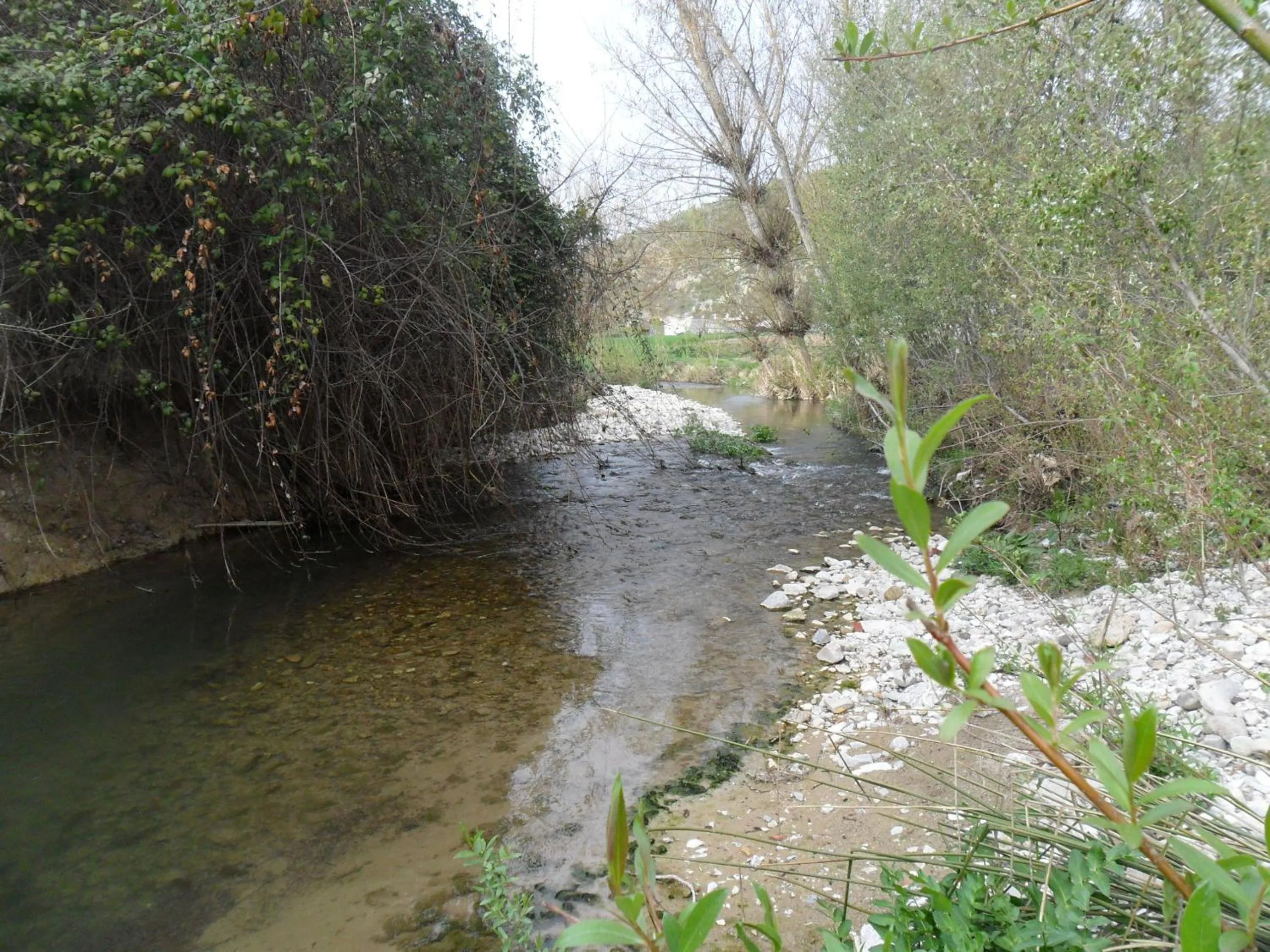 Natural landscape in Casa La Rosa