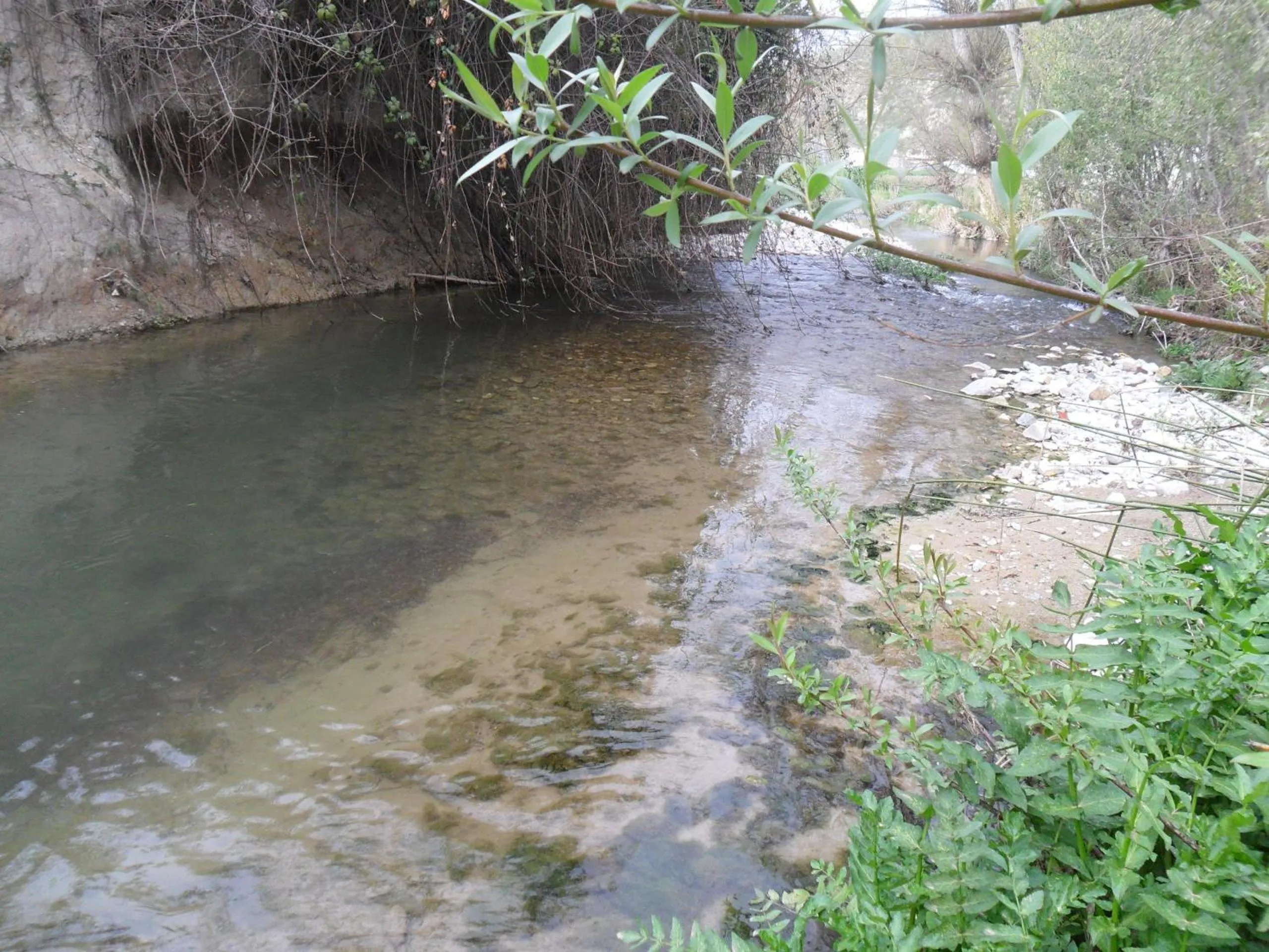 Natural landscape in Casa La Rosa