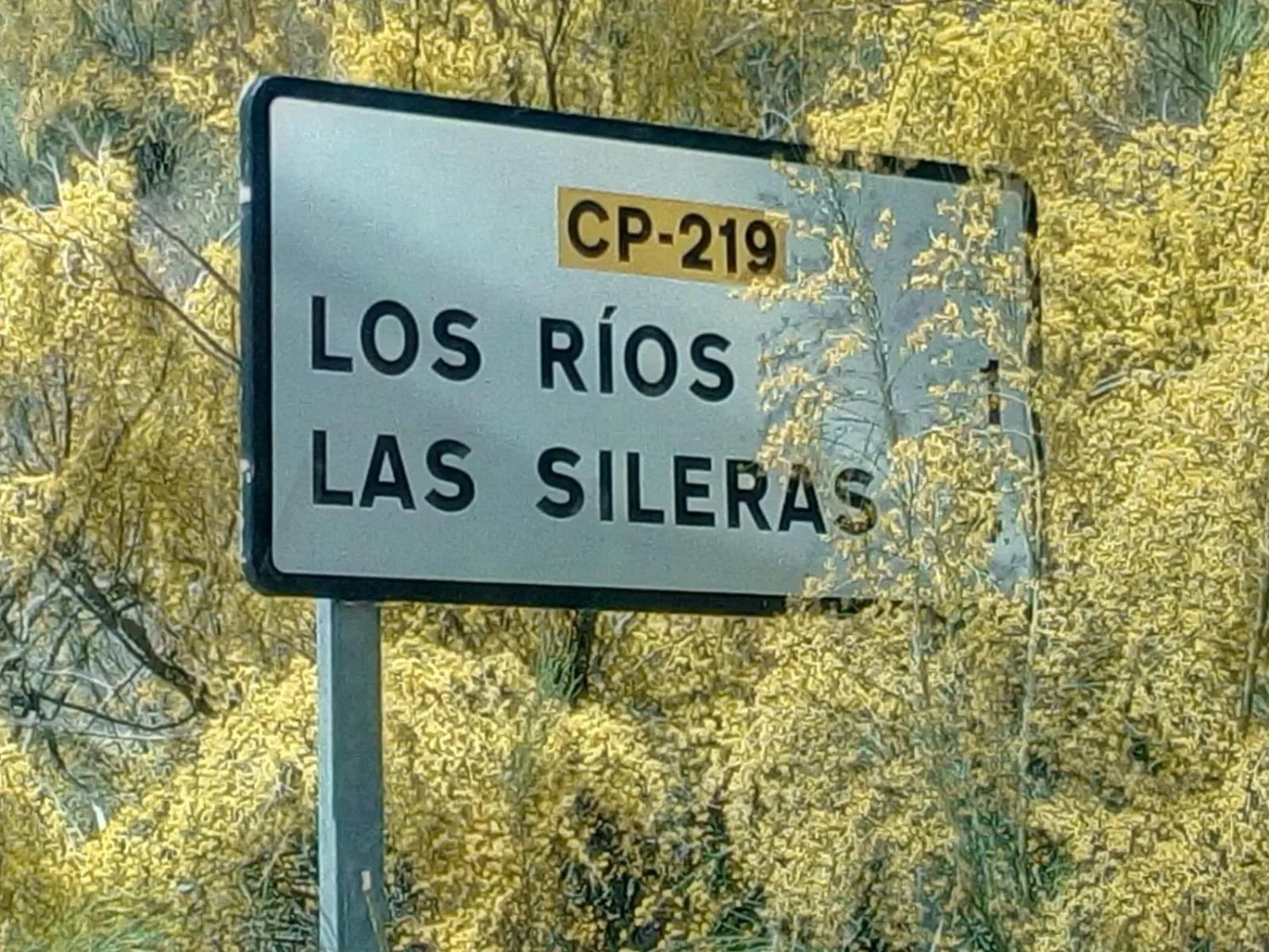 Neighbourhood in Casa La Rosa