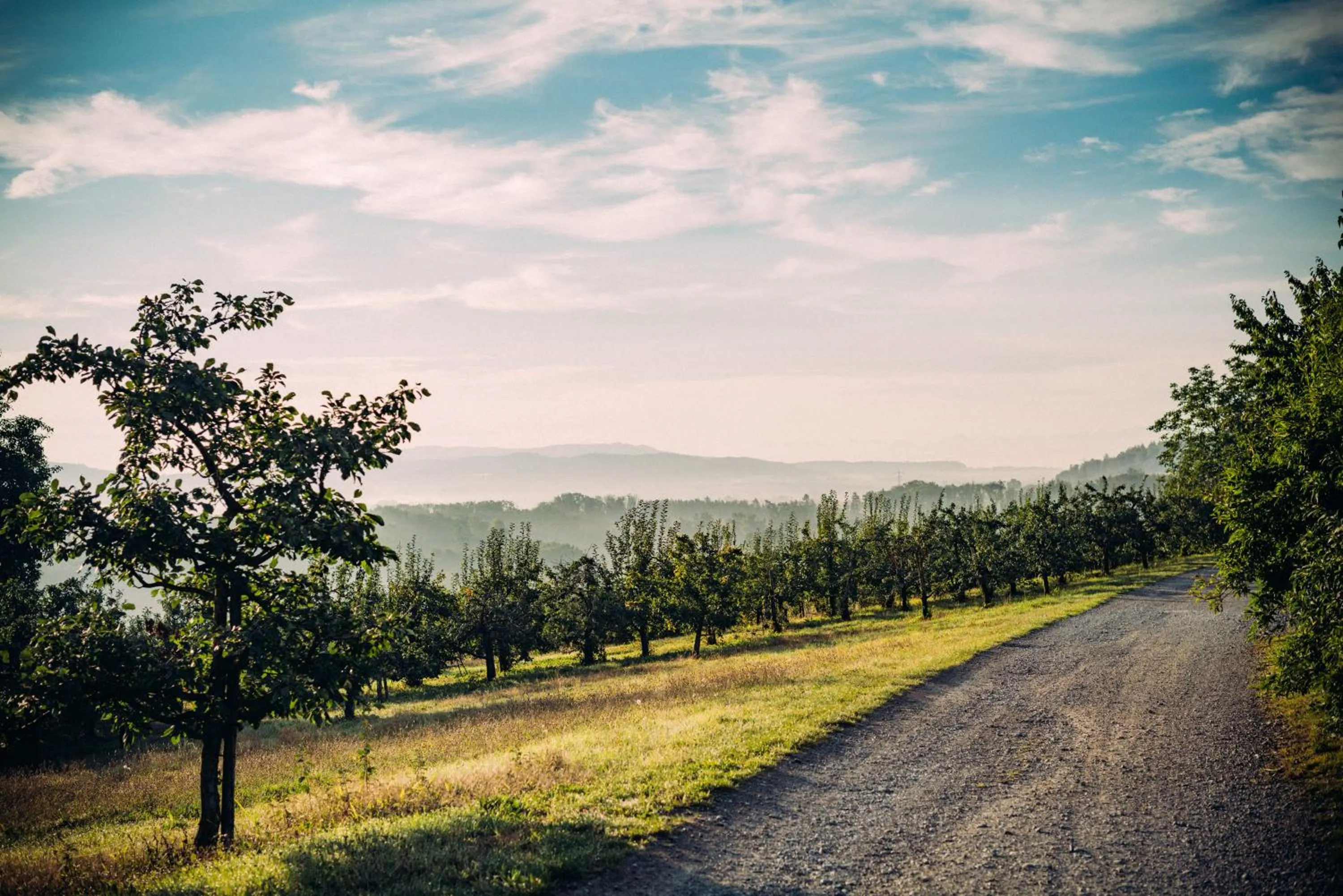 Natural landscape in Landgasthof Keller