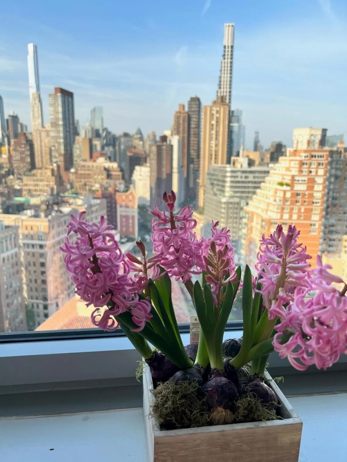 City view in Hotel Beacon