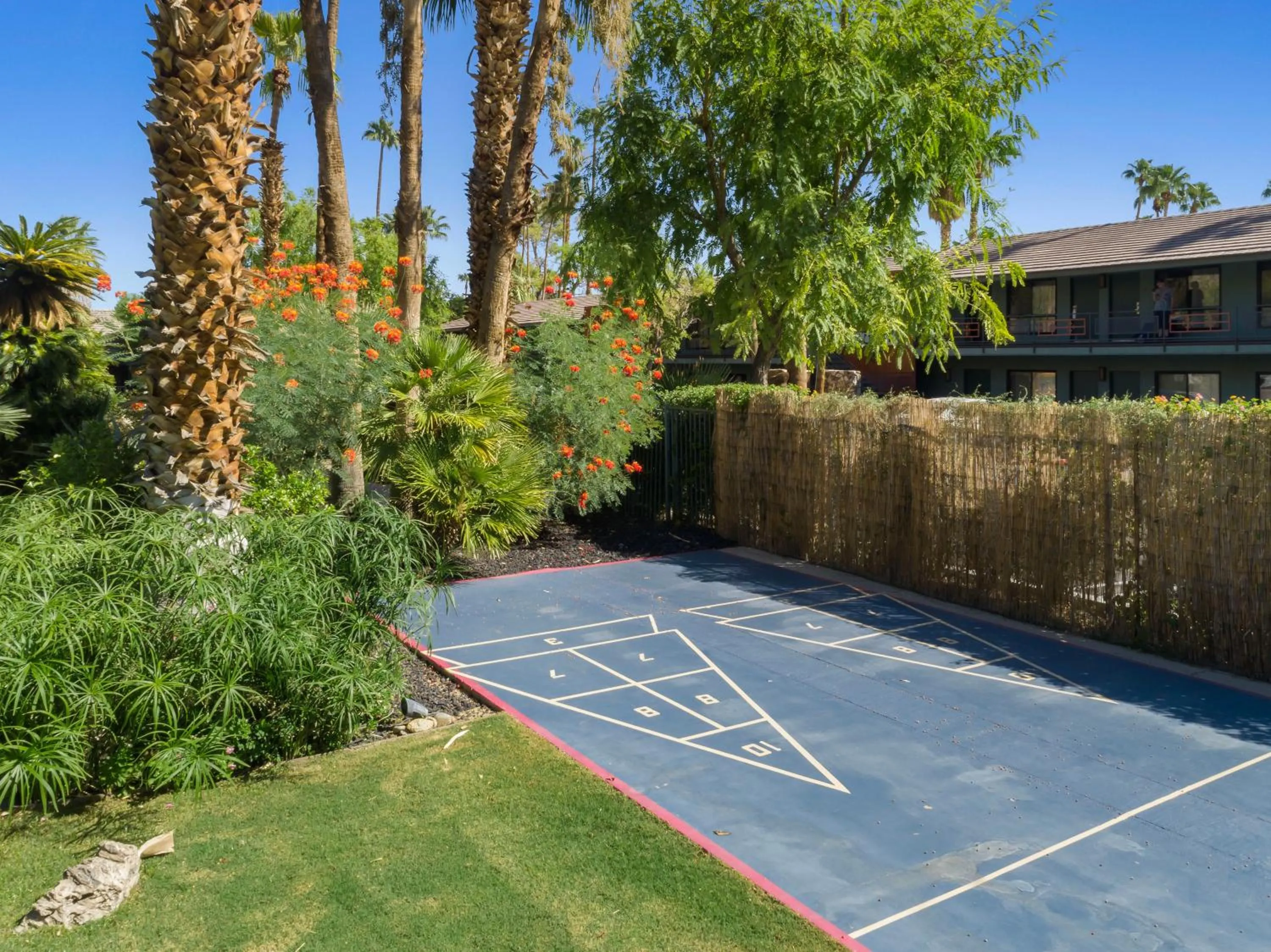 Activities in Caliente Tropics