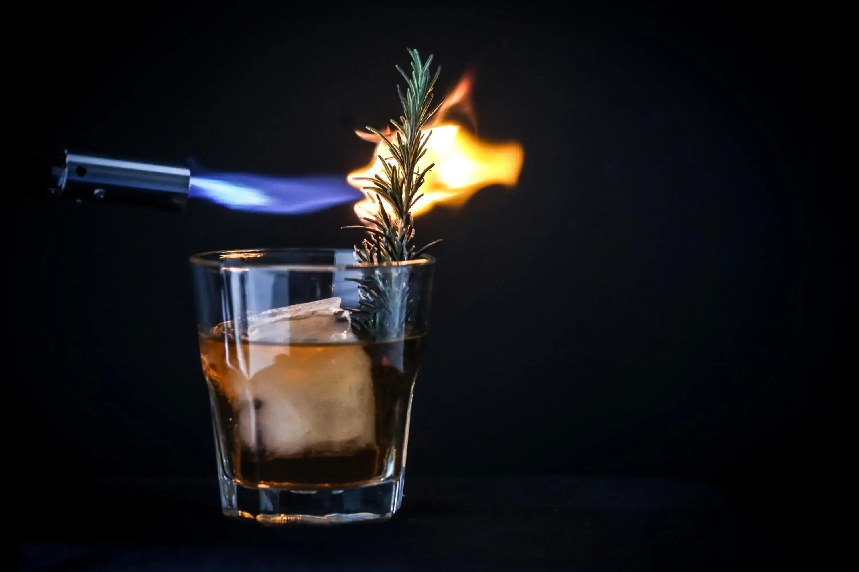 Lounge or bar in Caliente Tropics Lounge or bar in Caliente Tropics