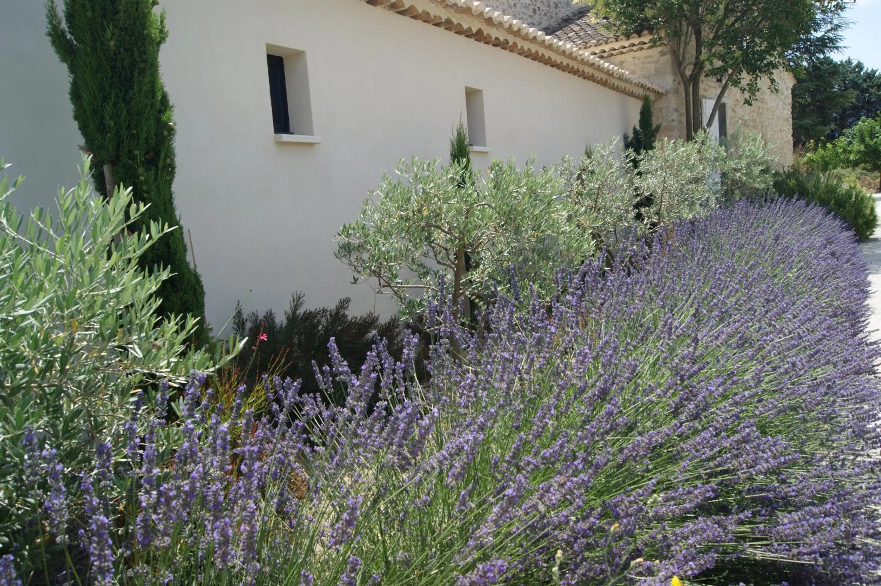 Garden in B&B dans Mas en pierres