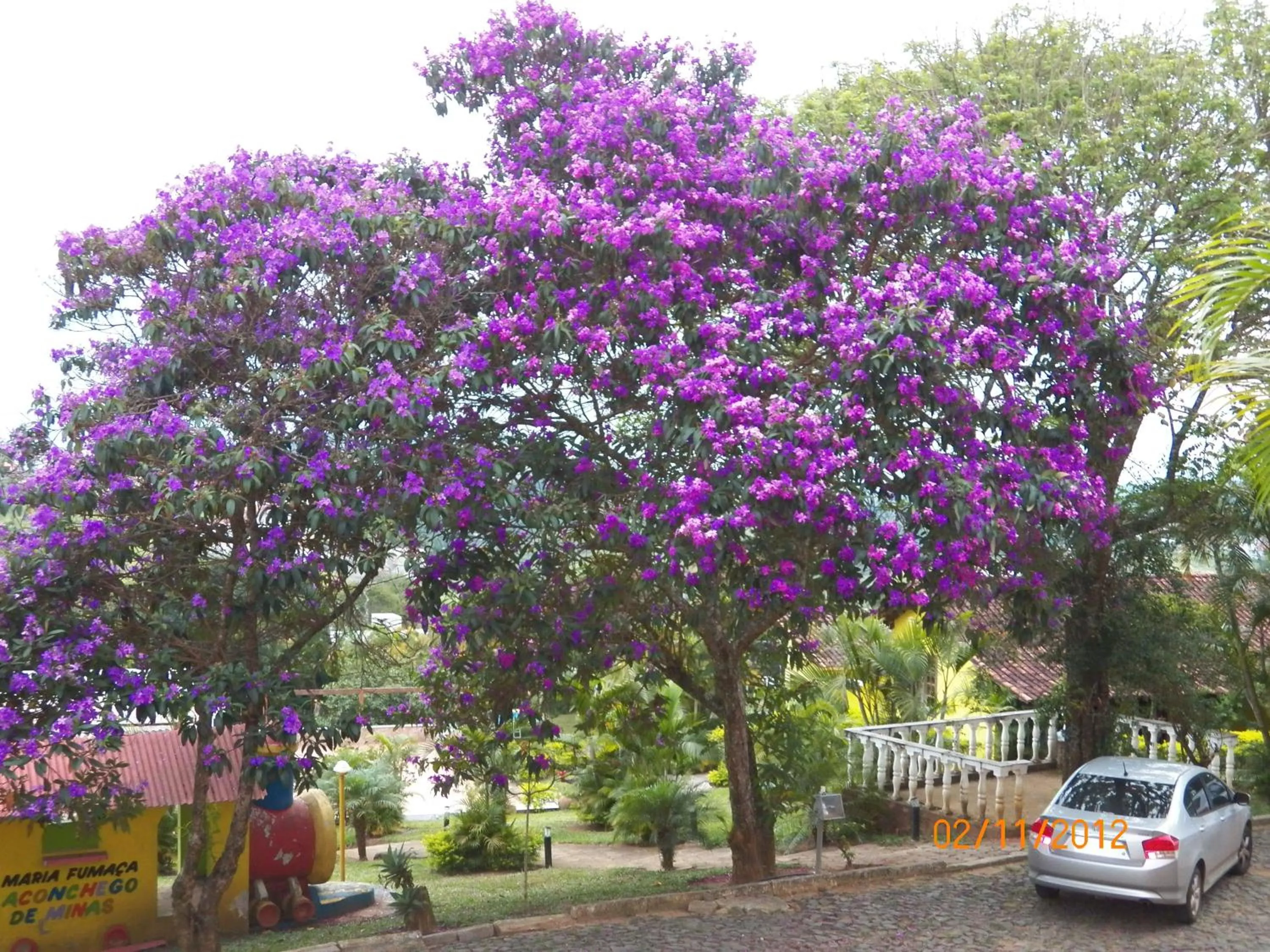 Garden in Pousada Aconchego de Minas