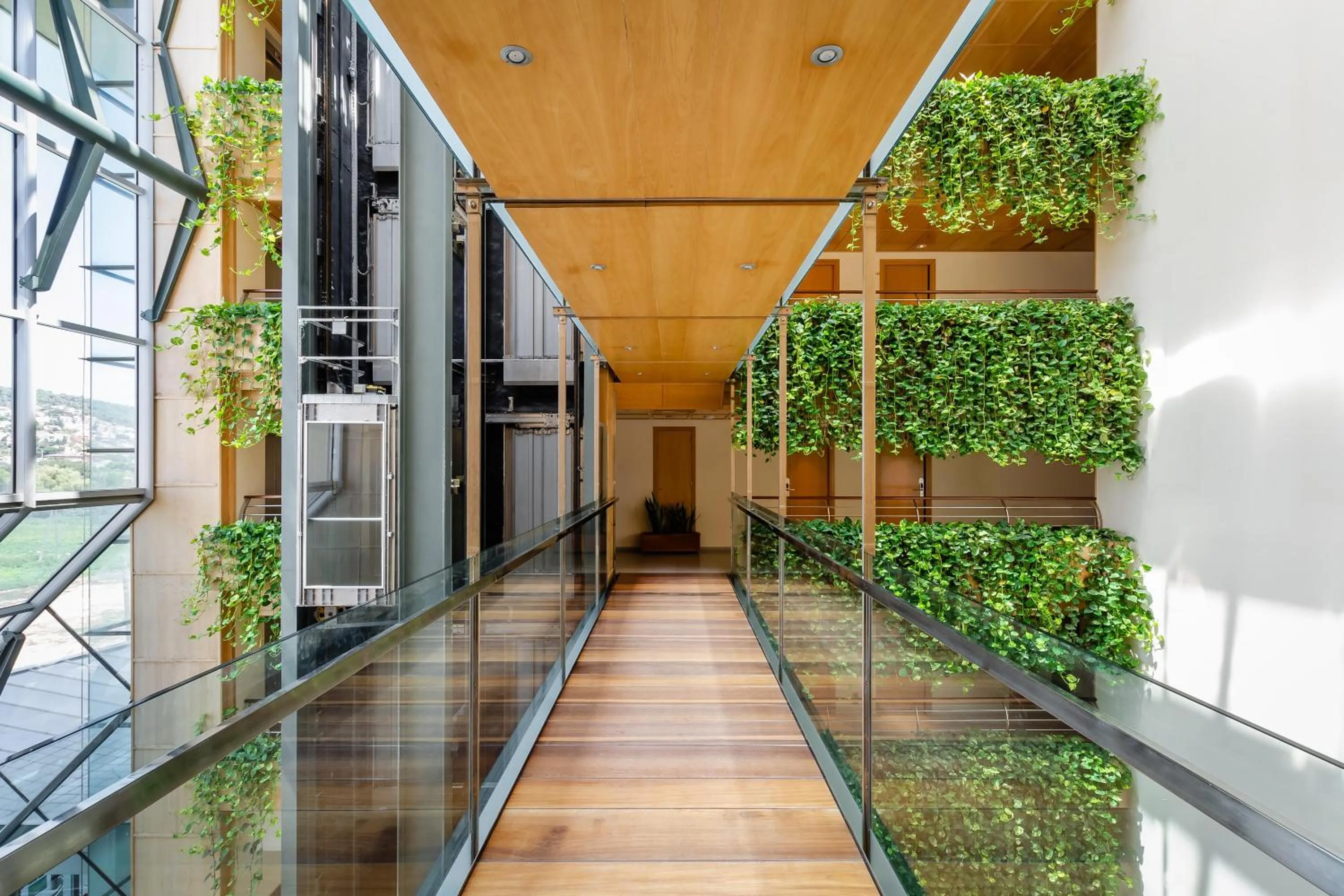 Other in ALEGRIA Caprici Verd 4 Sup