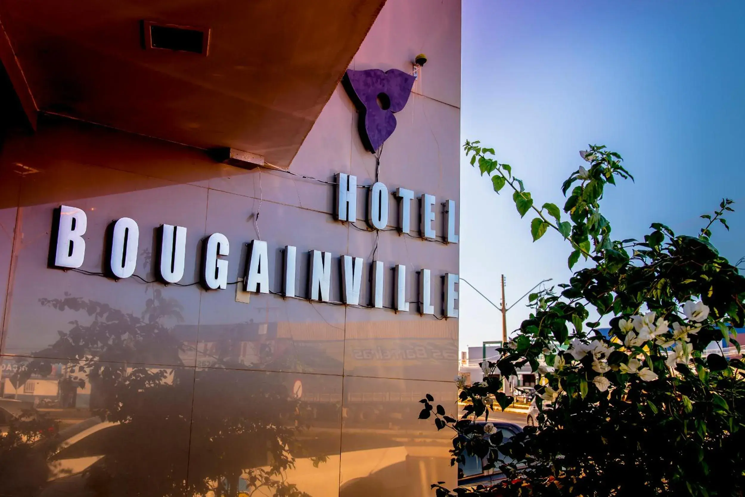 Bougainville Barreiras Bougainville Barreiras