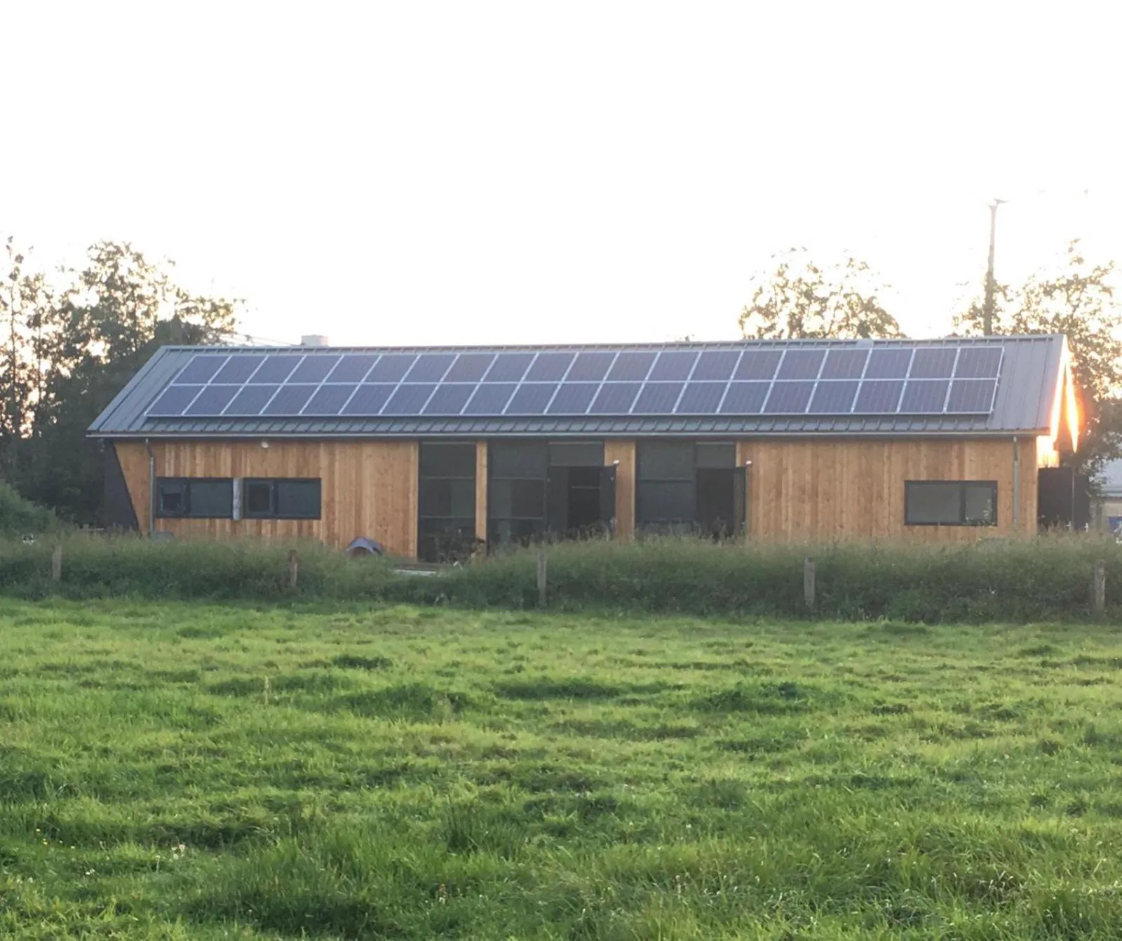 Property building in Bij Maus