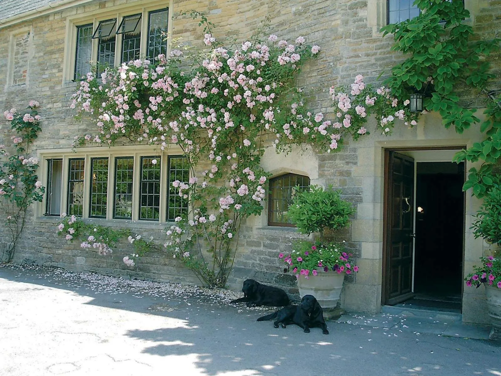 Property building in Plumber Manor Hotel
