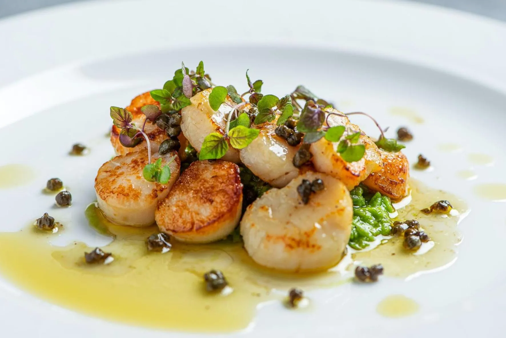 Restaurant/places to eat in Plumber Manor Hotel