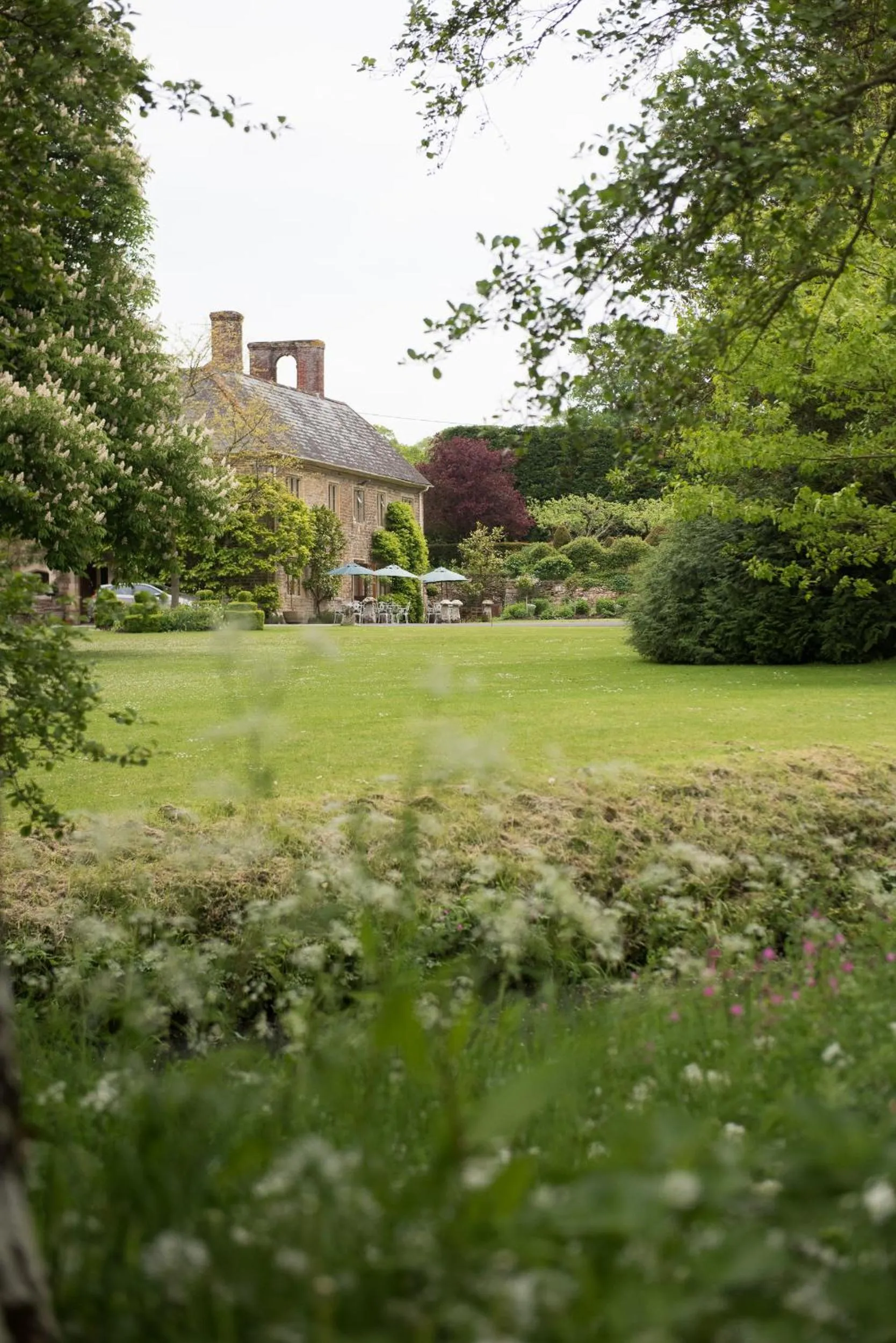 Garden in Plumber Manor Hotel