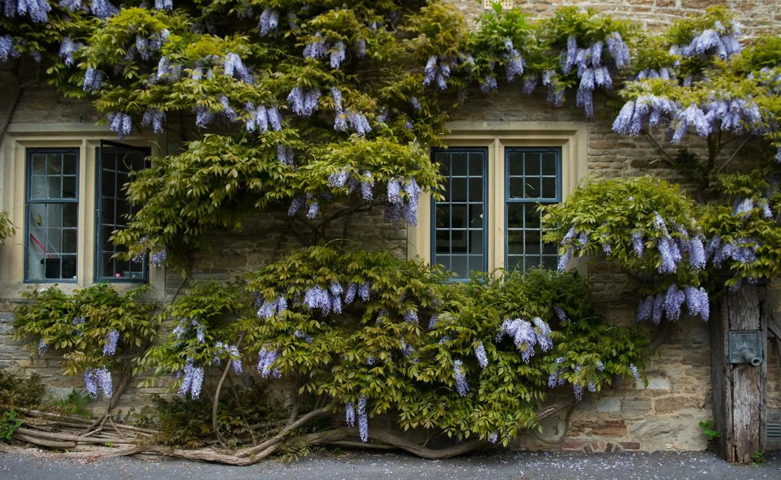 Property building in Plumber Manor Hotel