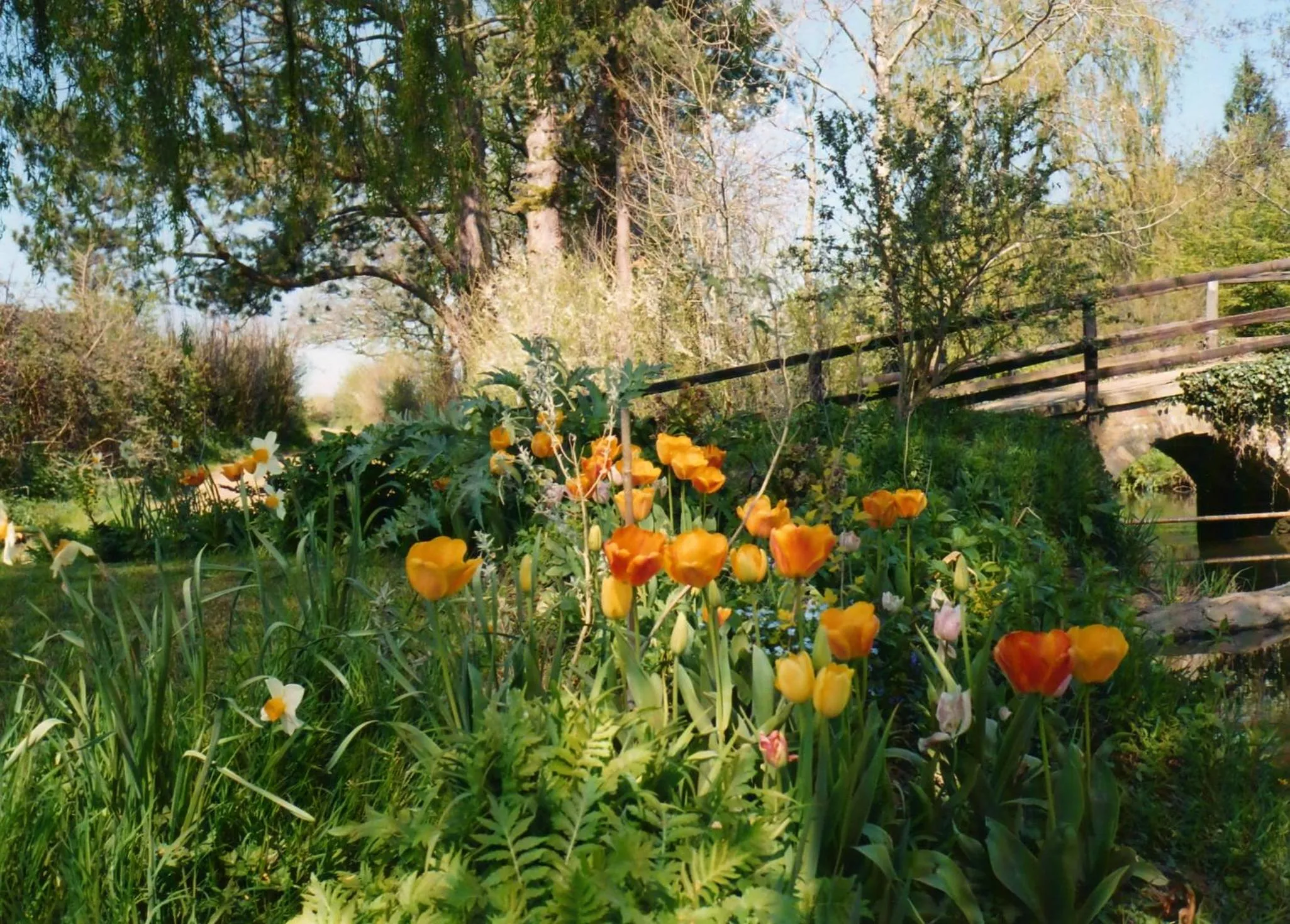 Property building in Plumber Manor Hotel