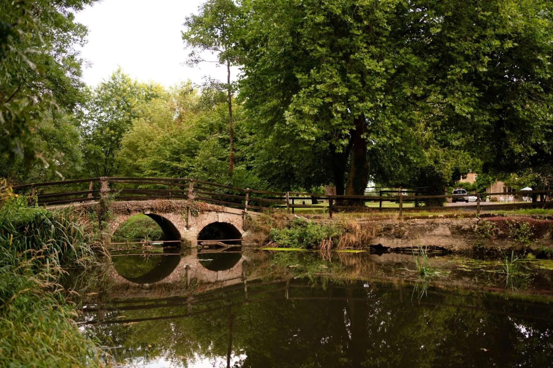 Garden in Plumber Manor Hotel