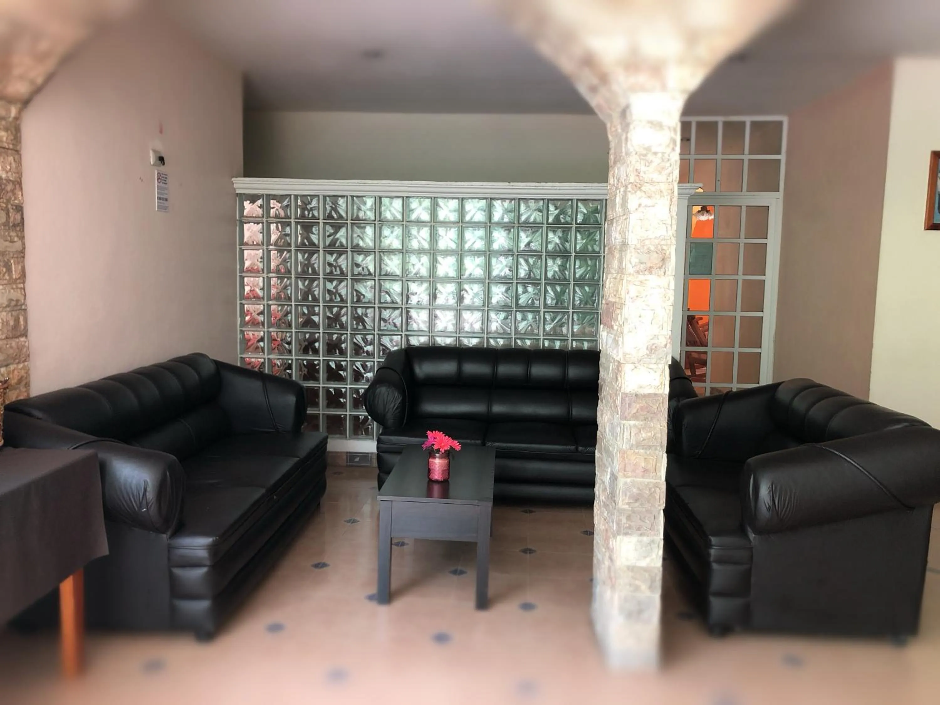 Lobby or reception in Hotel Paraiso Huasteco