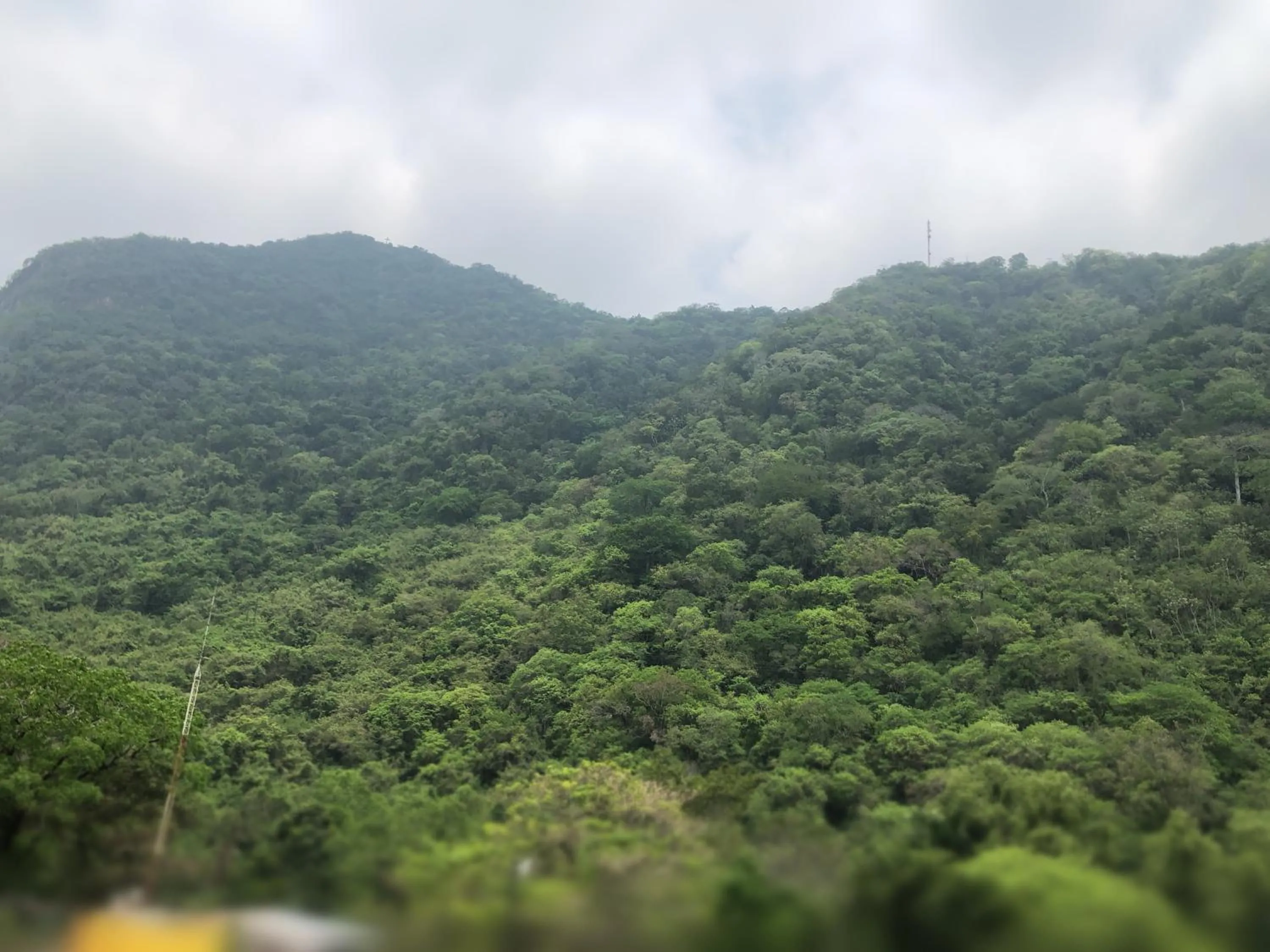 Natural landscape in Hotel Paraiso Huasteco