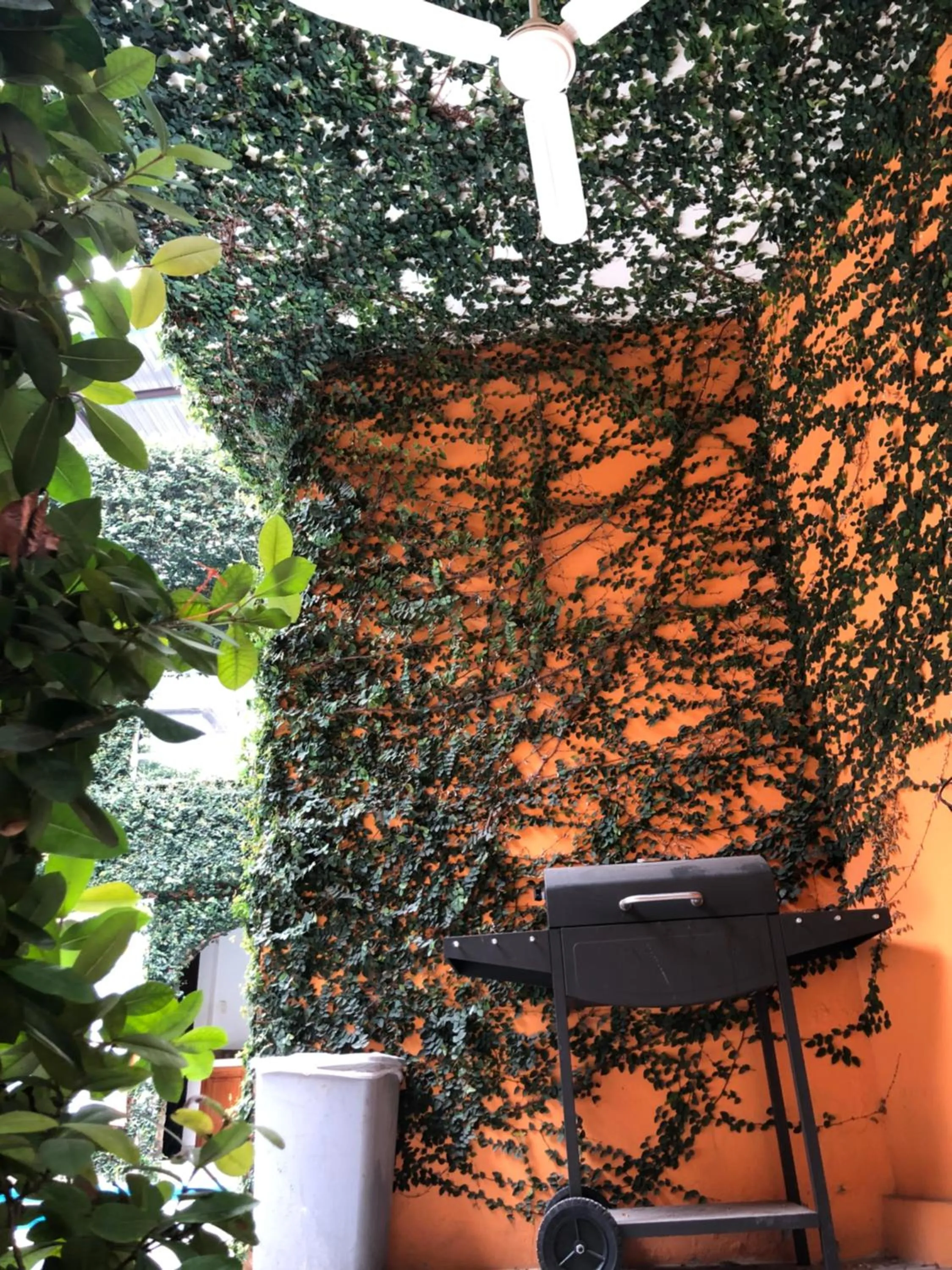 BBQ facilities in Hotel Paraiso Huasteco