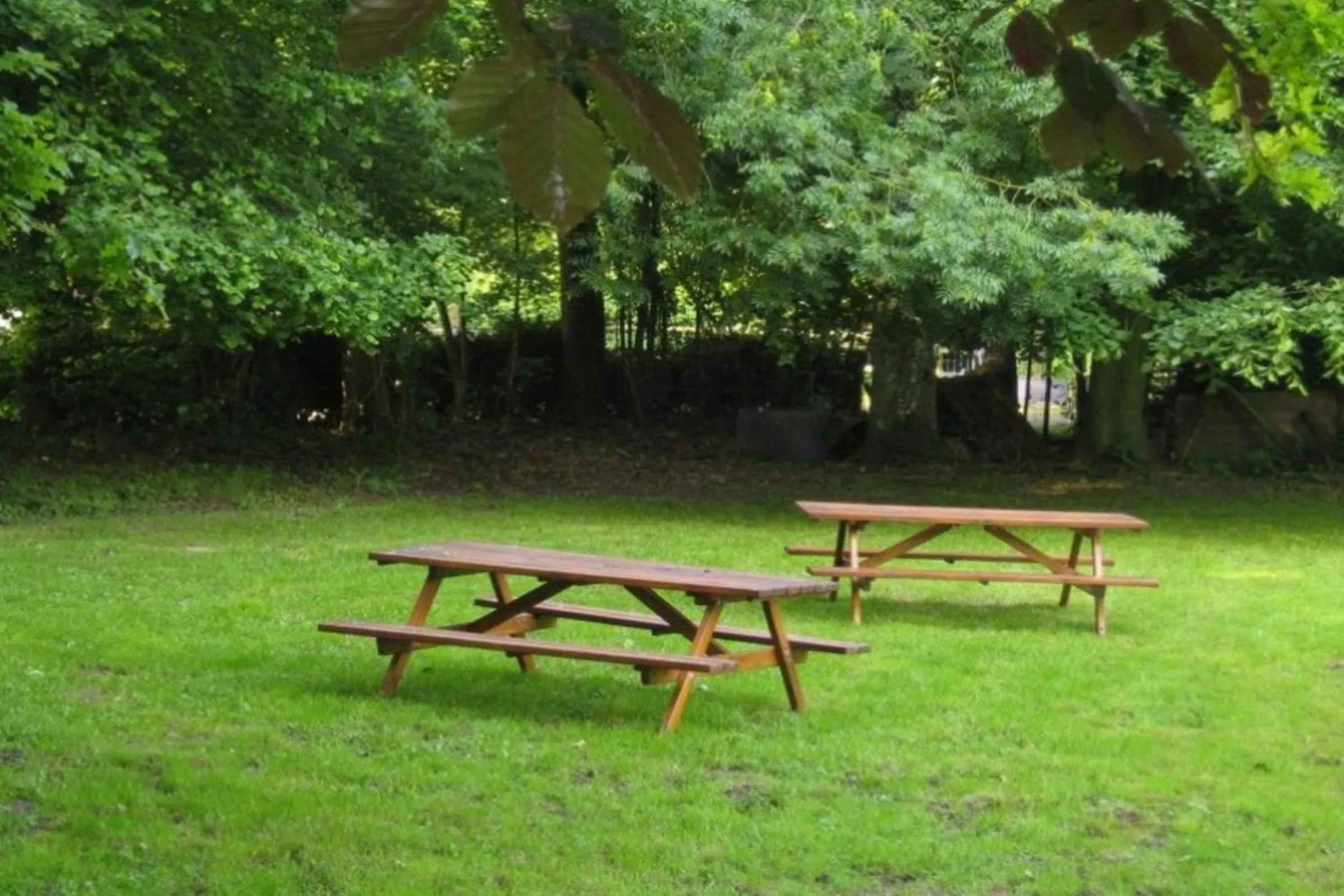 Garden in Château de Behen