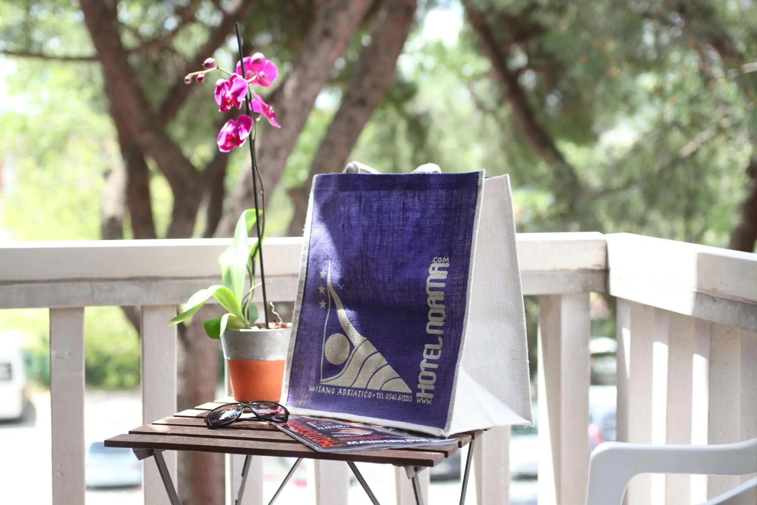 Balcony/Terrace in Hotel Norma
