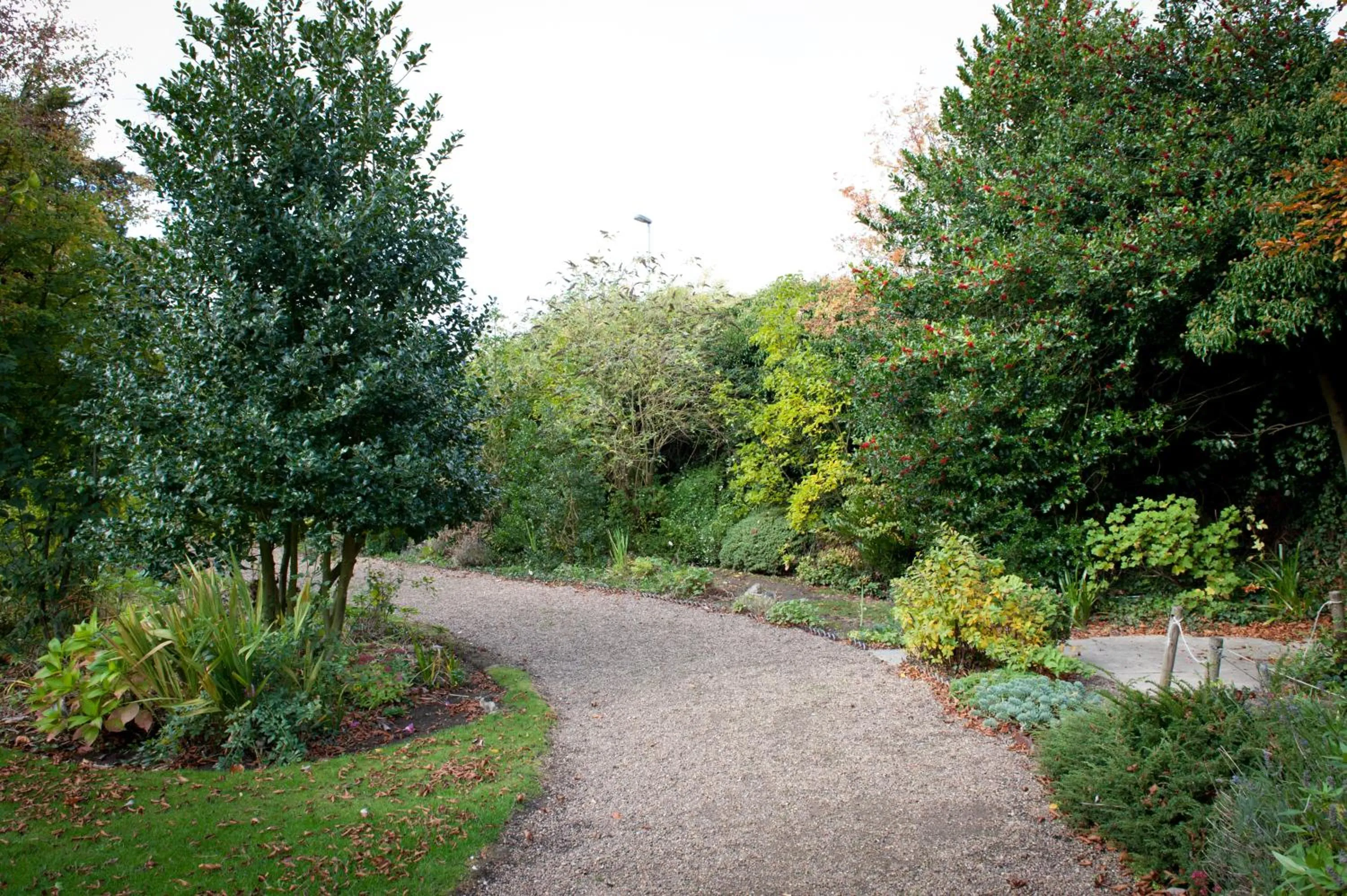 Garden in Owl, Hambleton by Marston's Inns