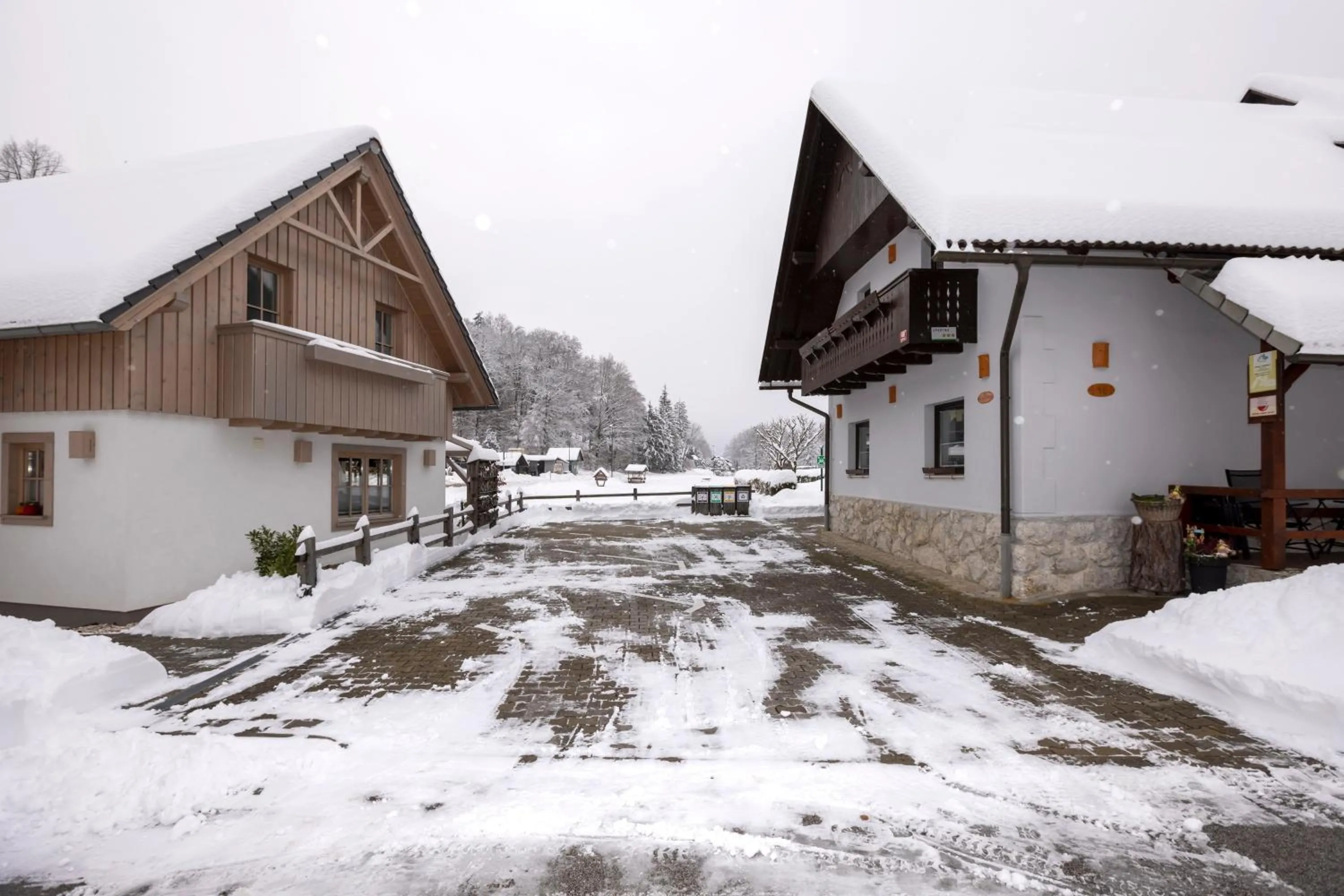 Winter in Apartments Alp