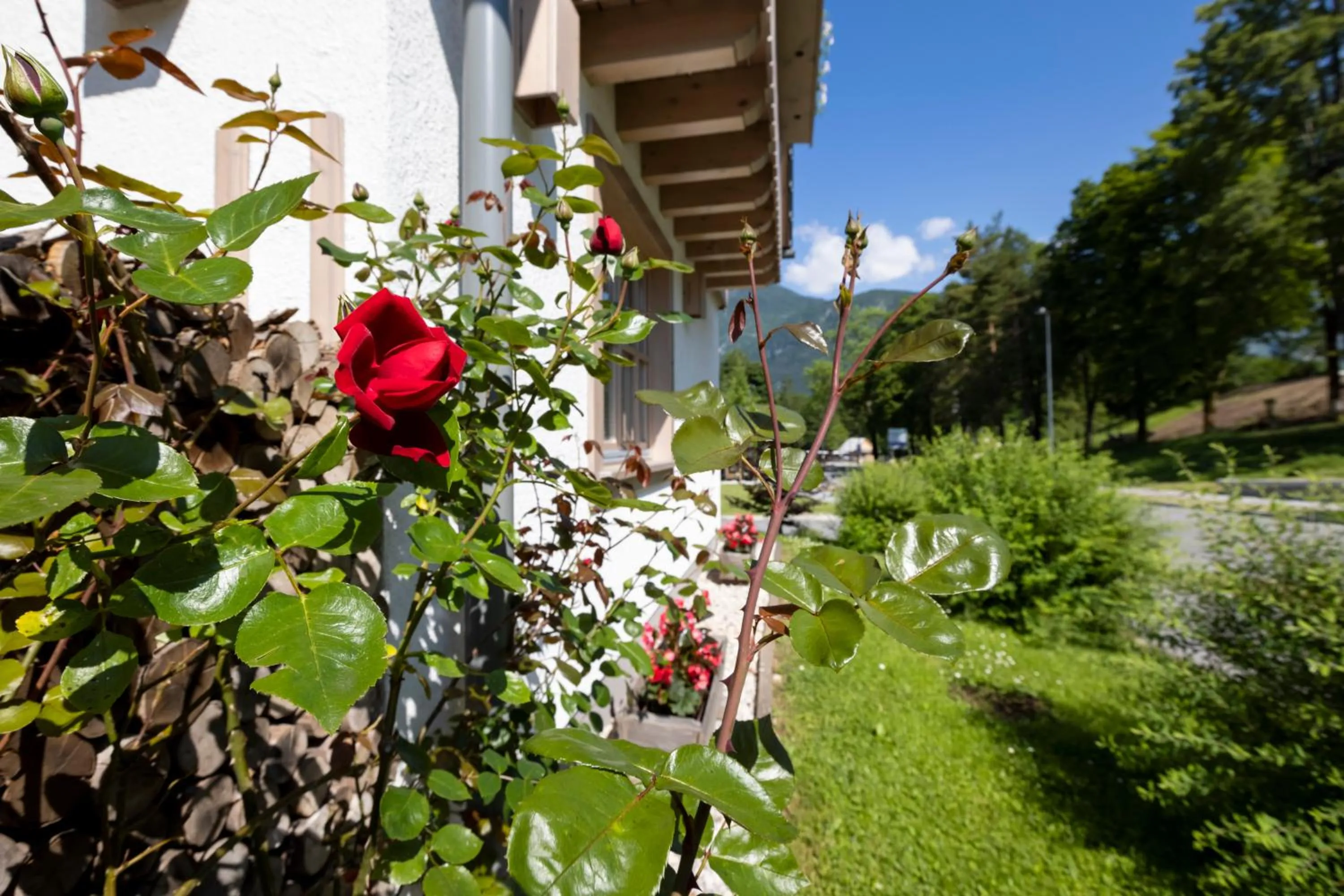 Property building in Apartments Alp