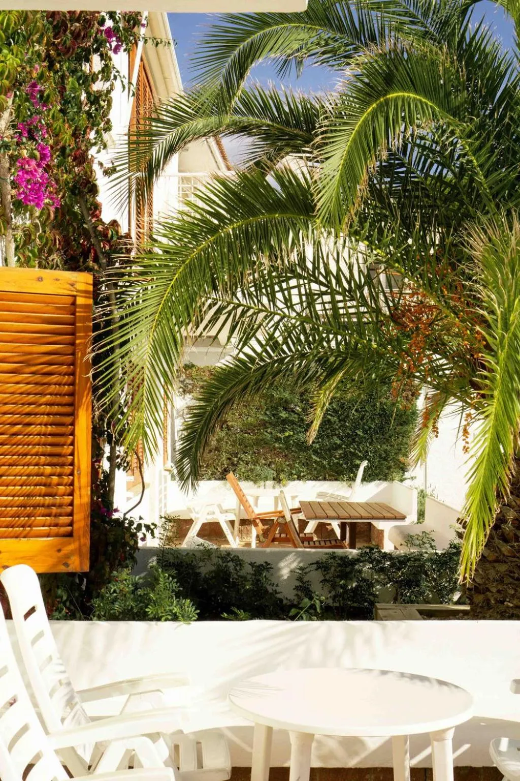 Garden in Santa Llucia Apartaments