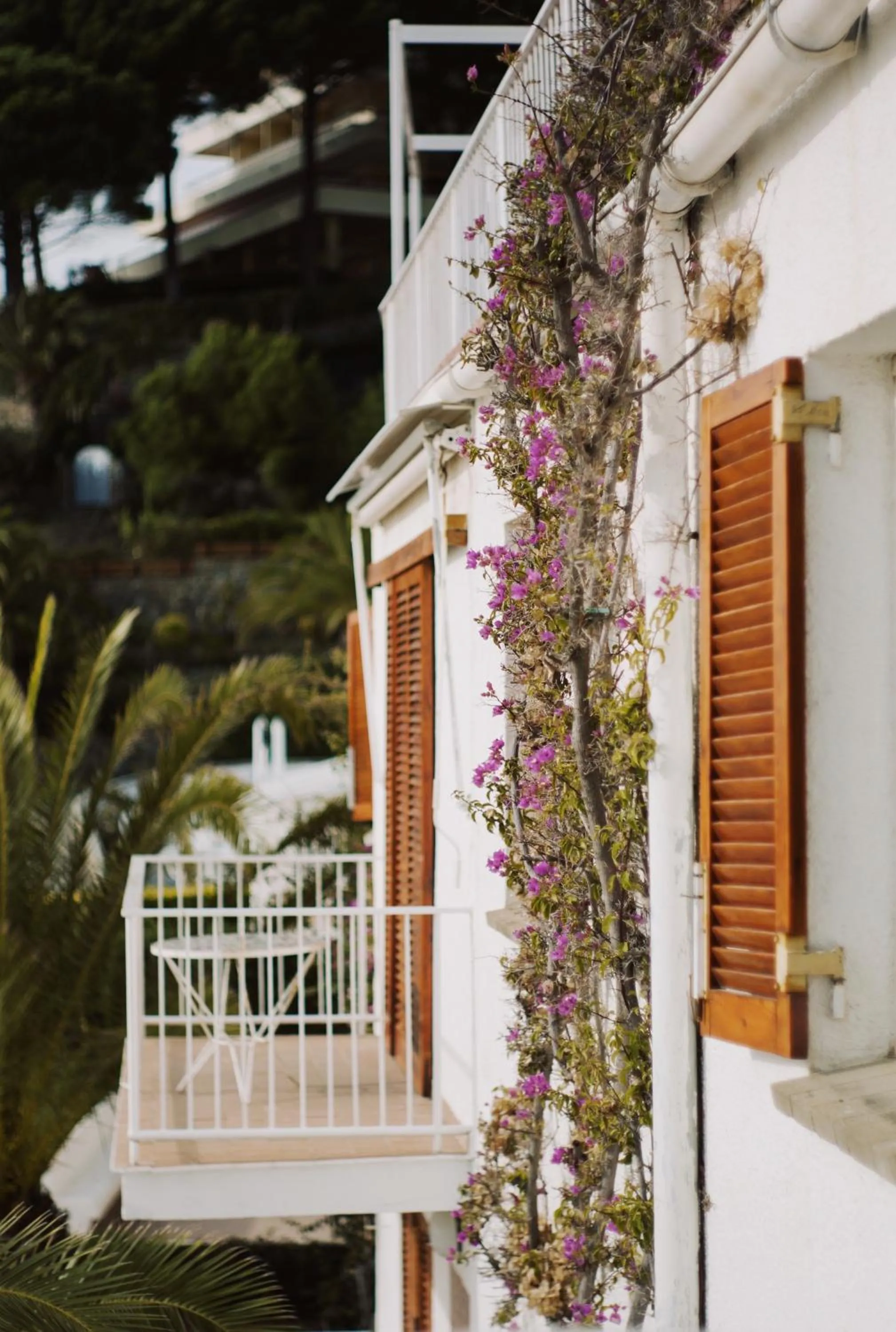 Property building in Santa Llucia Apartaments
