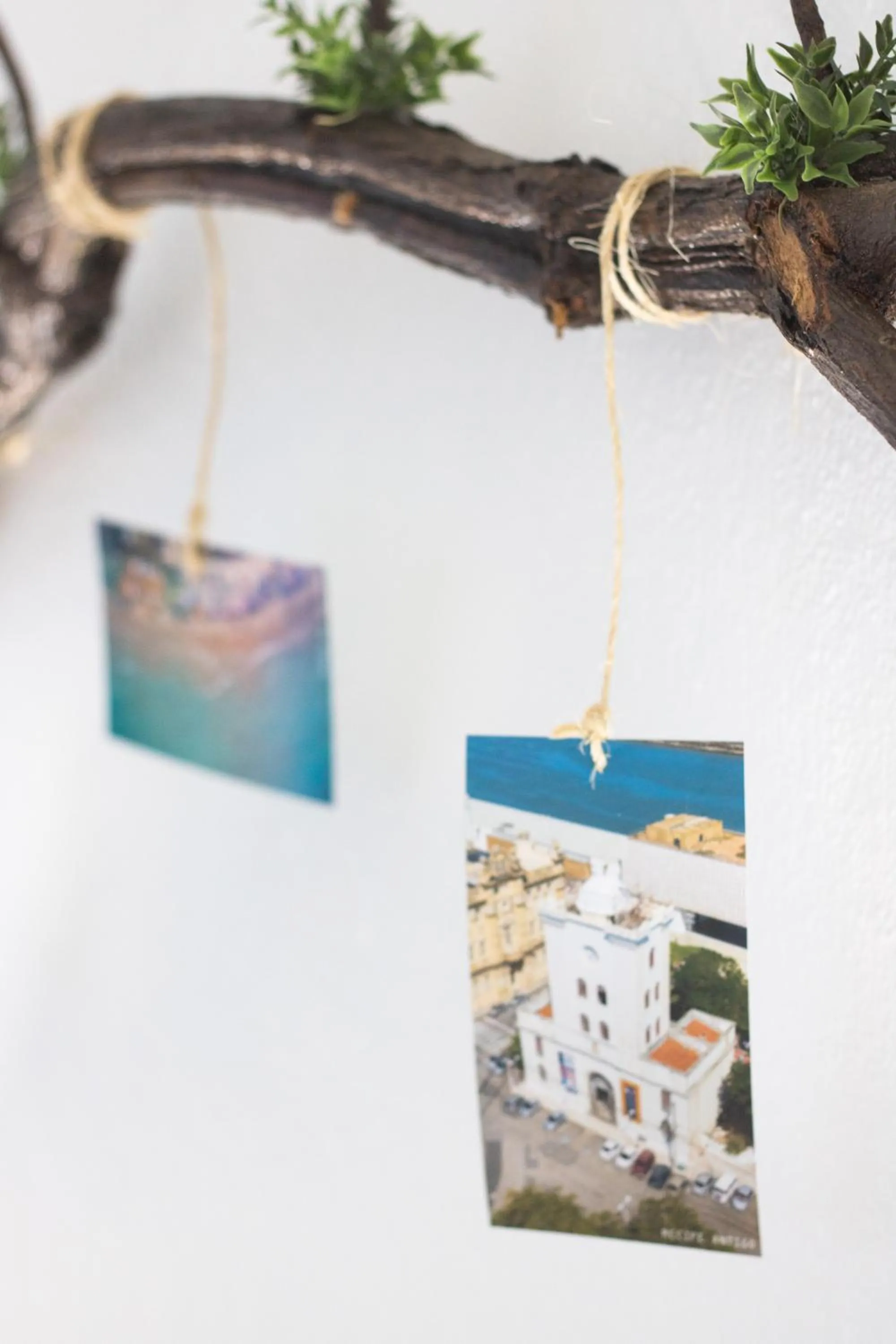 Pousada Brisa Do Porto