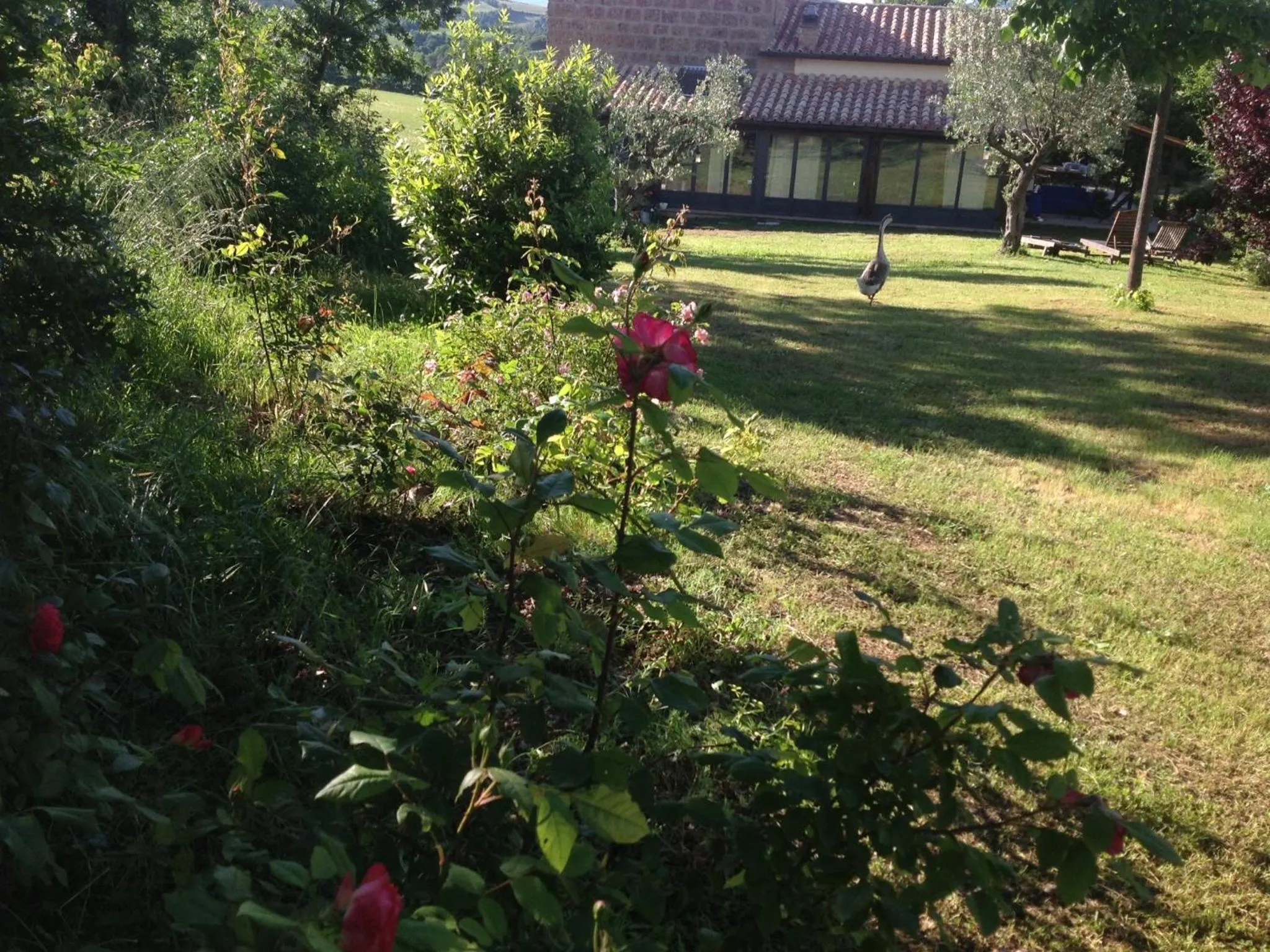 Facade/entrance in PoggioBa