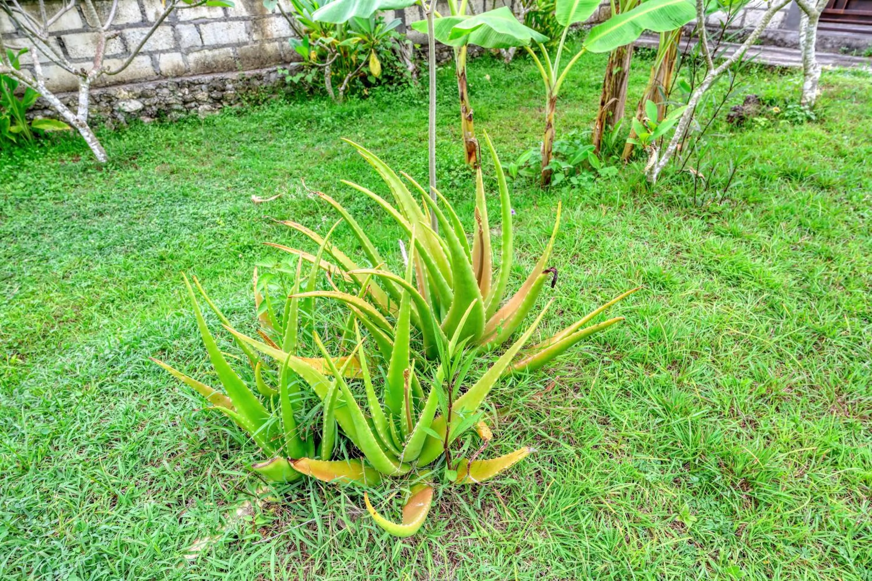 Other in Dekara Cottages