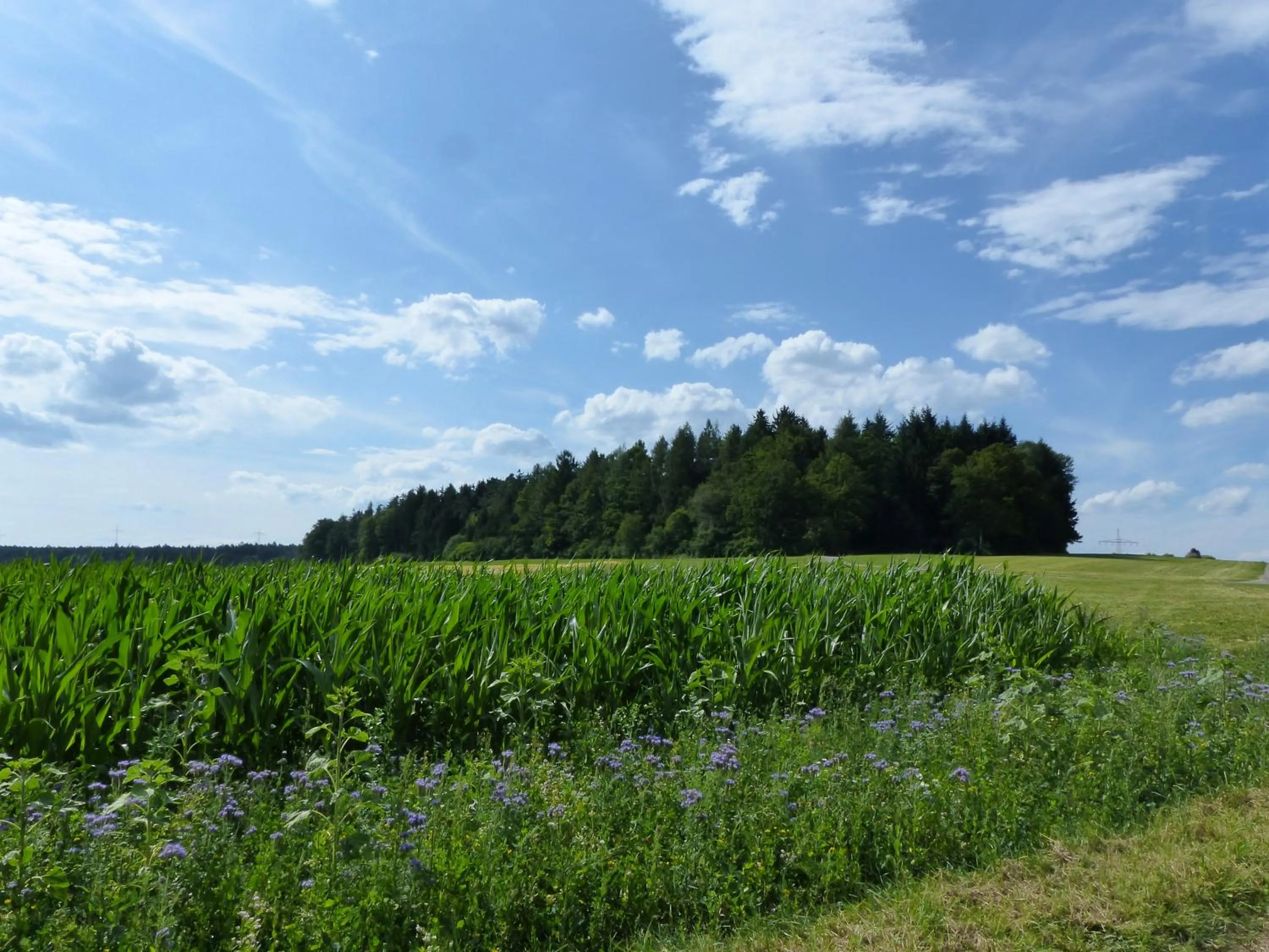 Off site in Landgasthaus Sonne