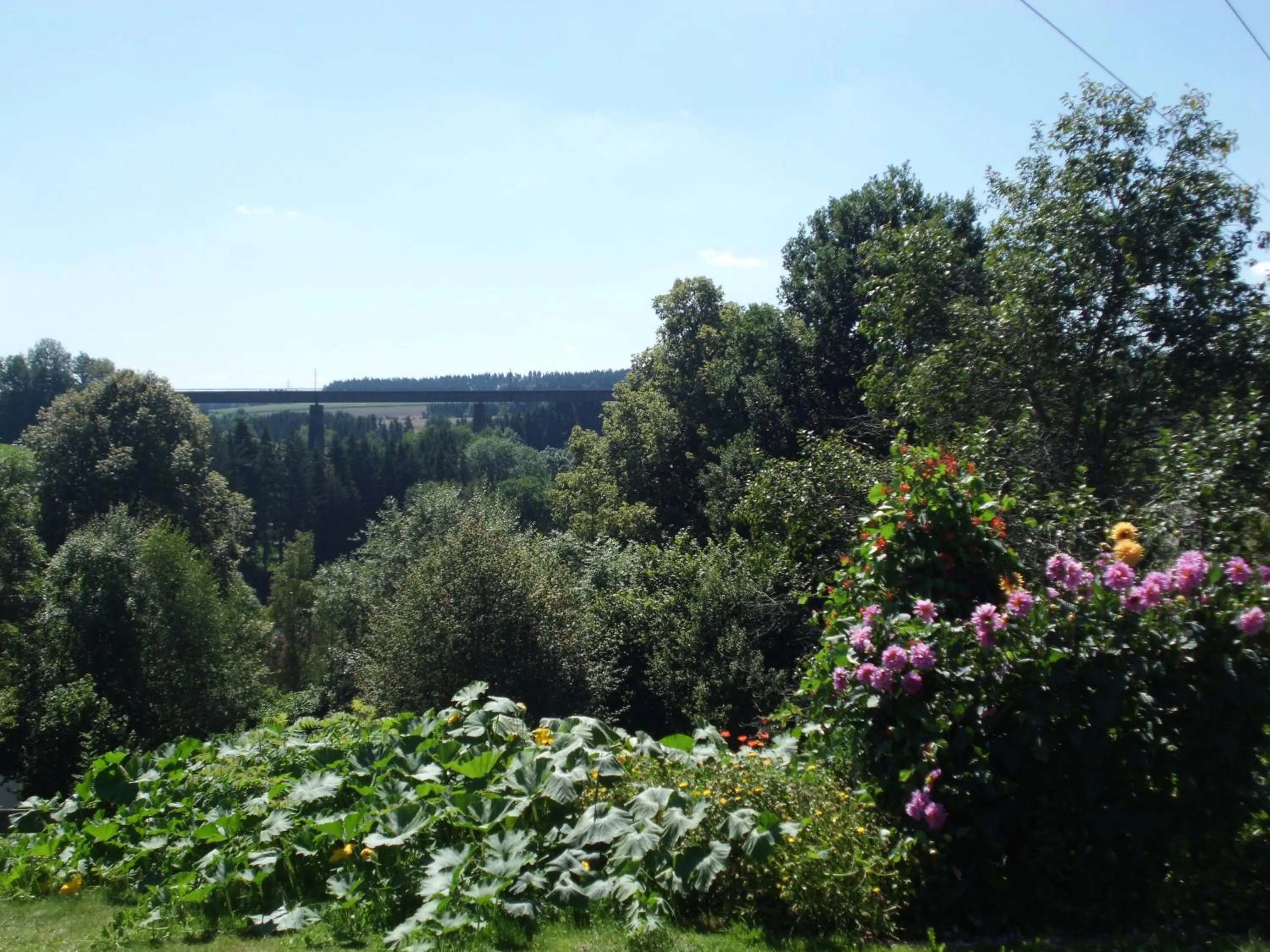 Summer in Landgasthaus Sonne