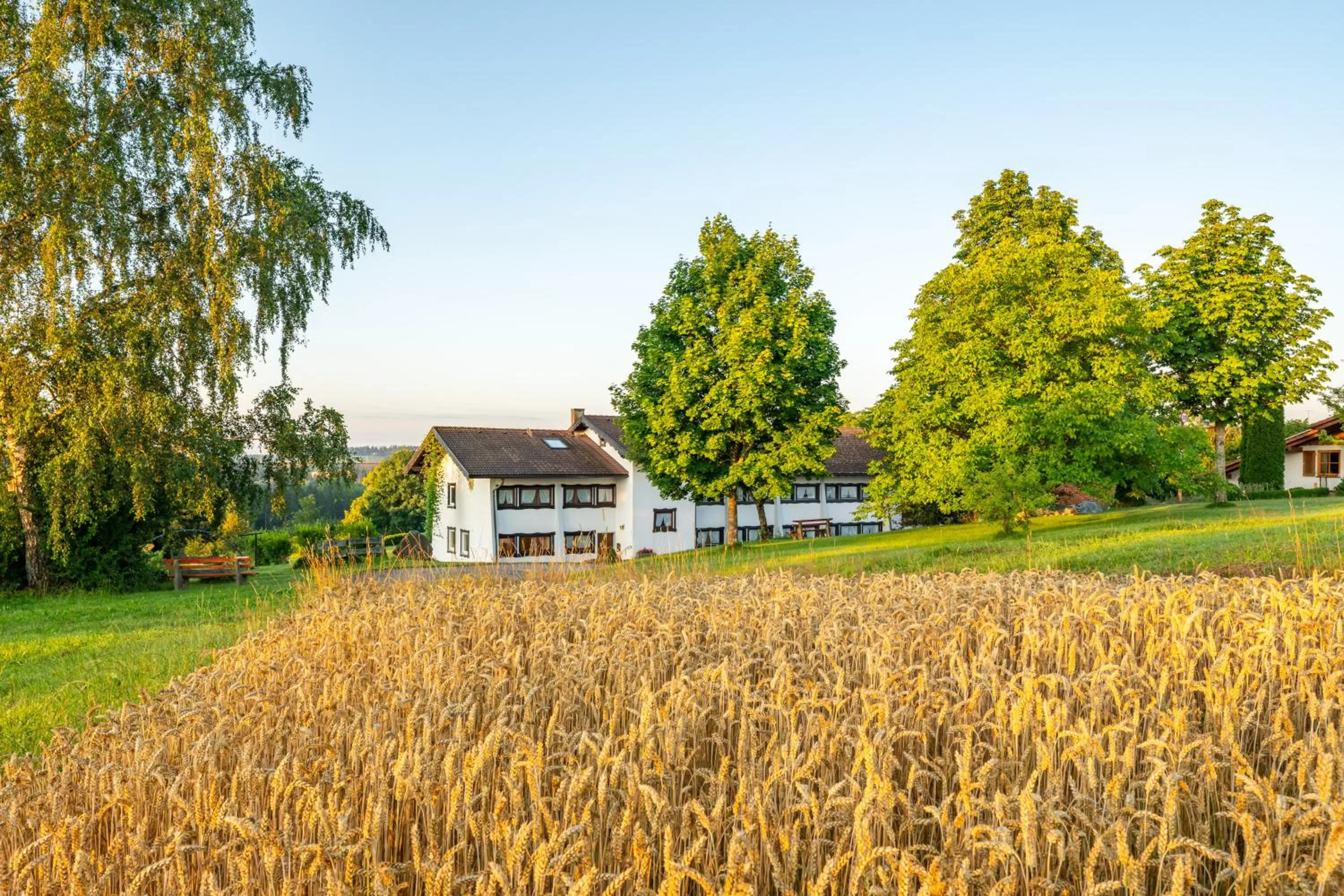 Property building in Landgasthaus Sonne
