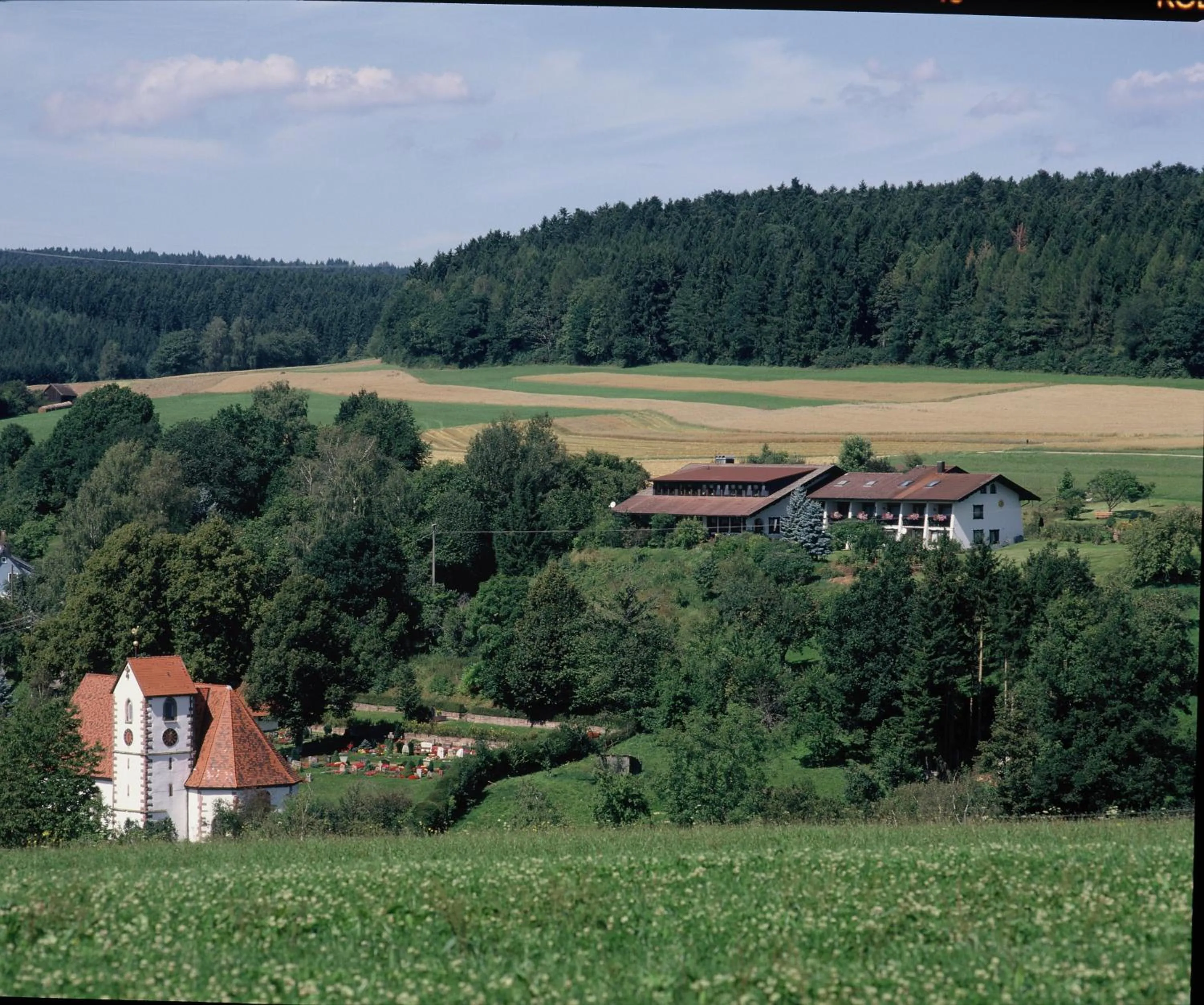 Area and facilities in Landgasthaus Sonne