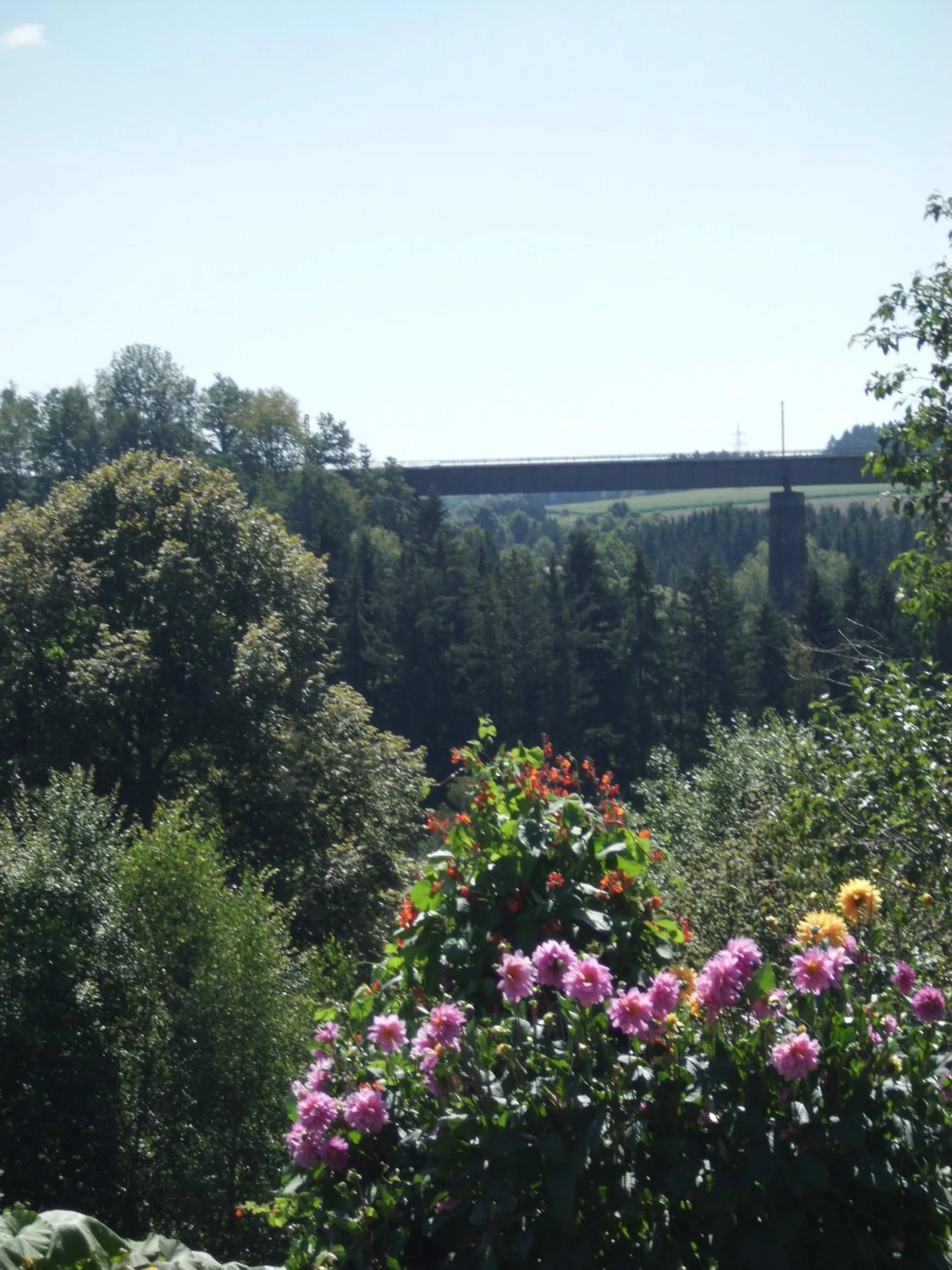 View (from property/room) in Landgasthaus Sonne