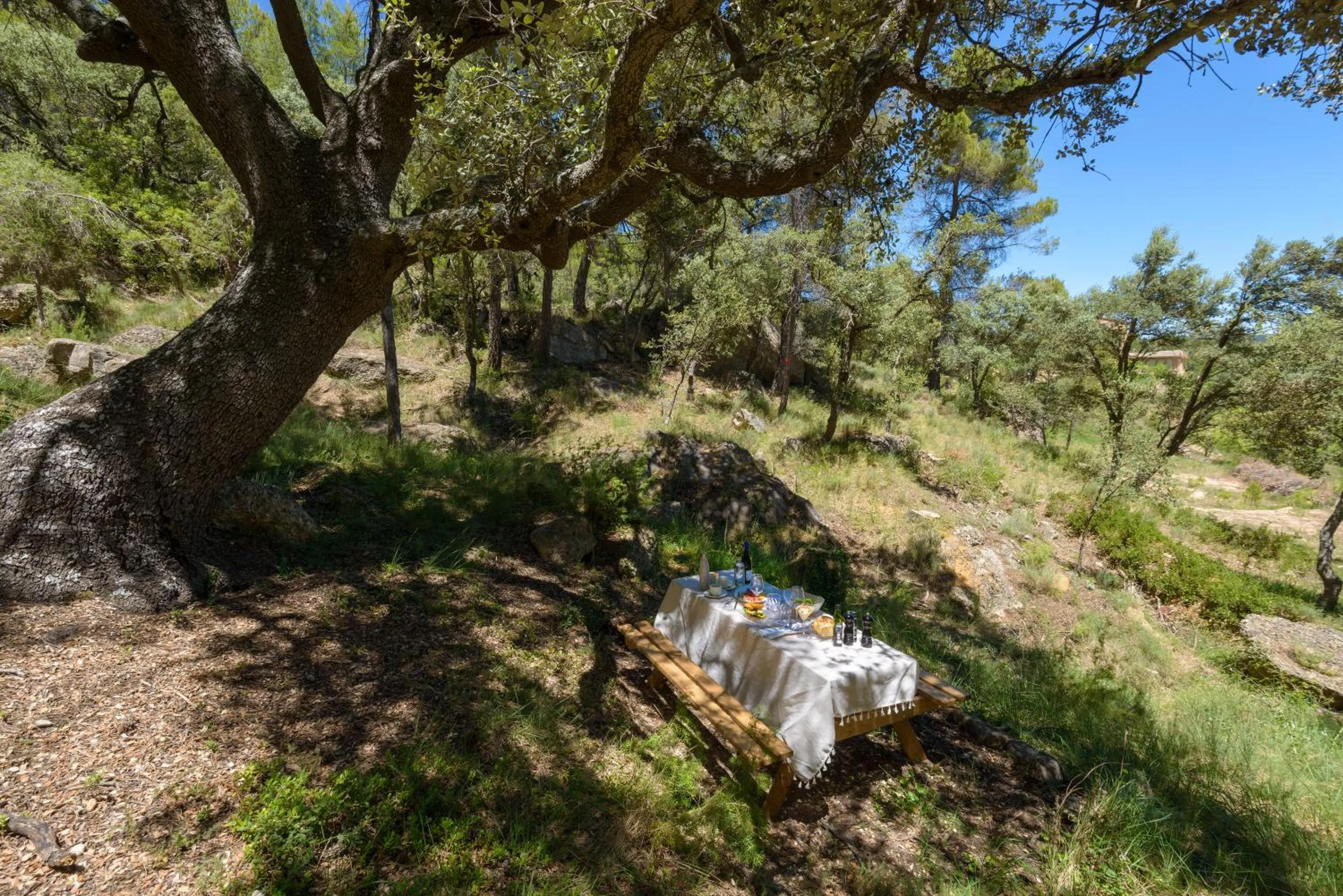 Torre del Marqués Hotel Spa & Winery - Small Luxury Hotels