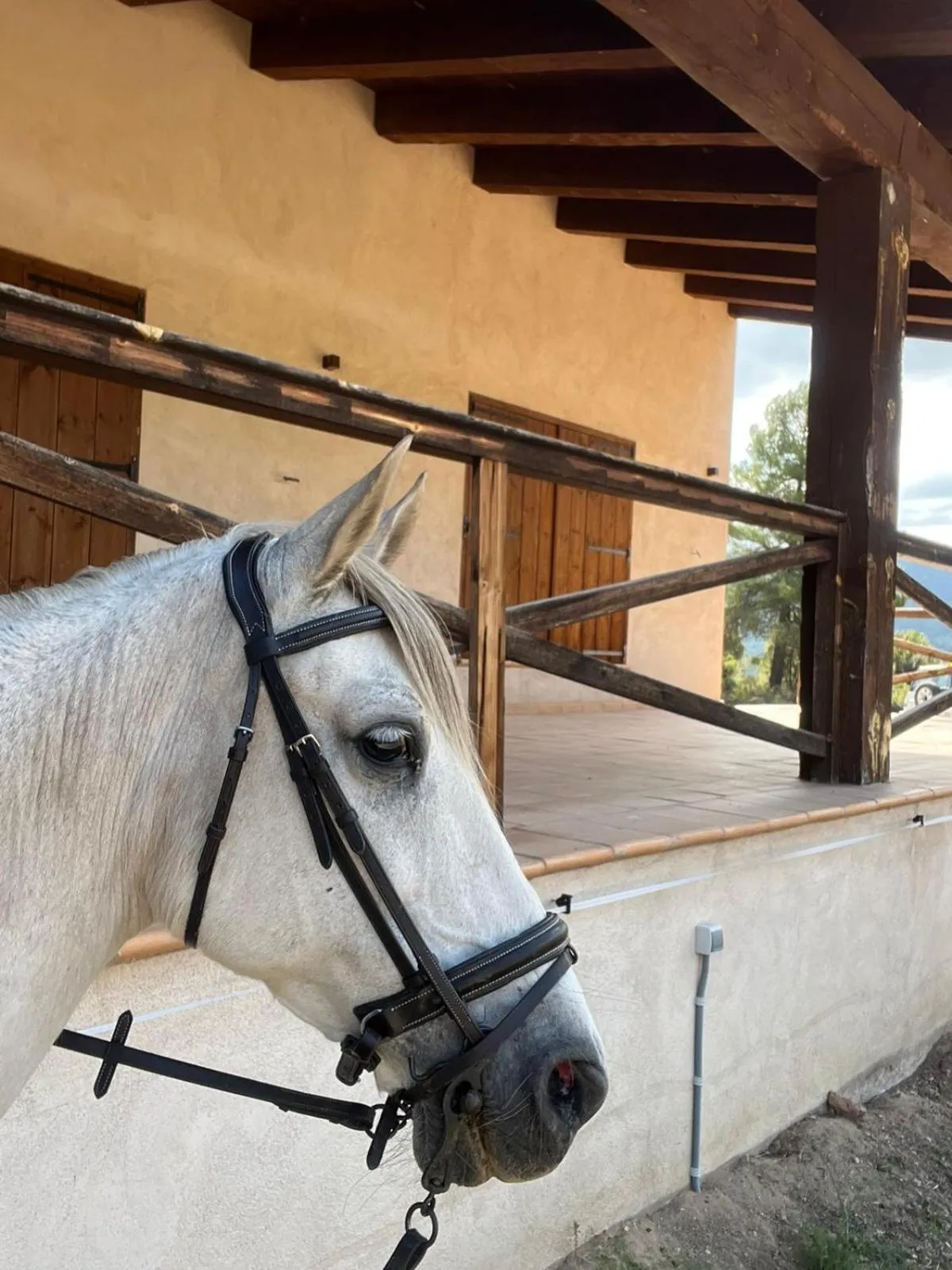 Horse-riding in Torre del Marqués Hotel Spa & Winery - Small Luxury Hotels
