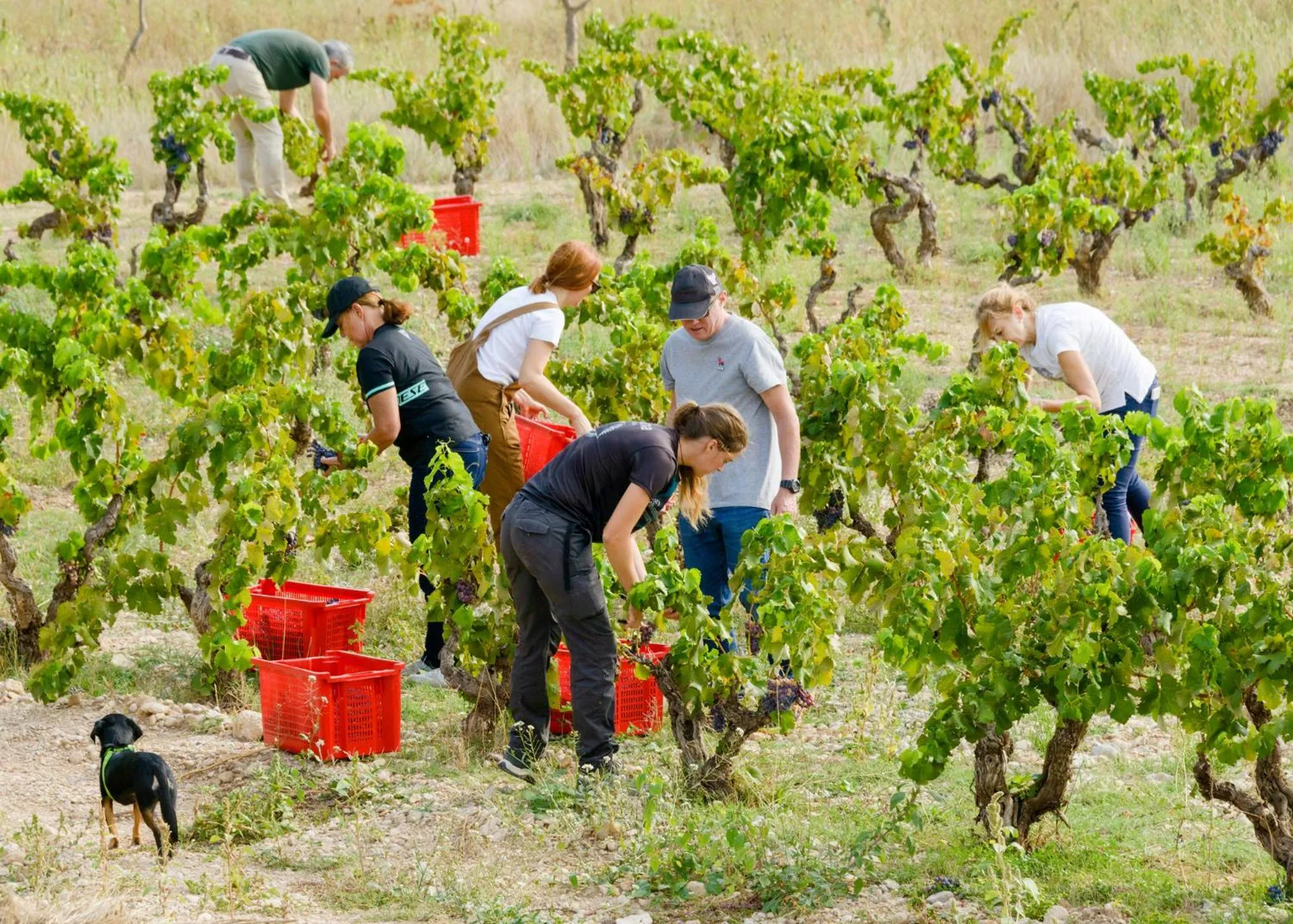 Activities in Torre del Marqués Hotel Spa & Winery - Small Luxury Hotels