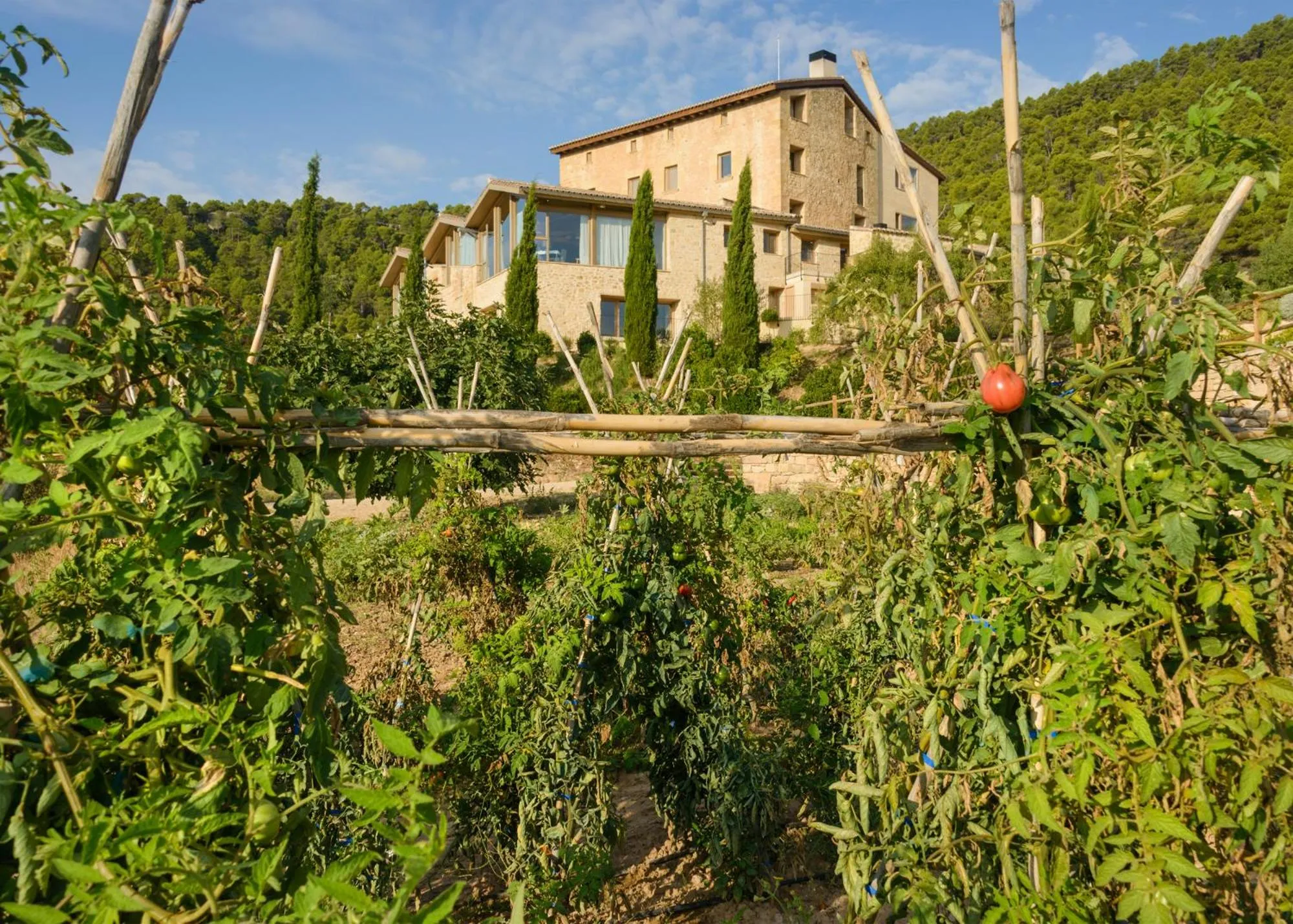 Garden in Torre del Marqués Hotel Spa & Winery - Small Luxury Hotels