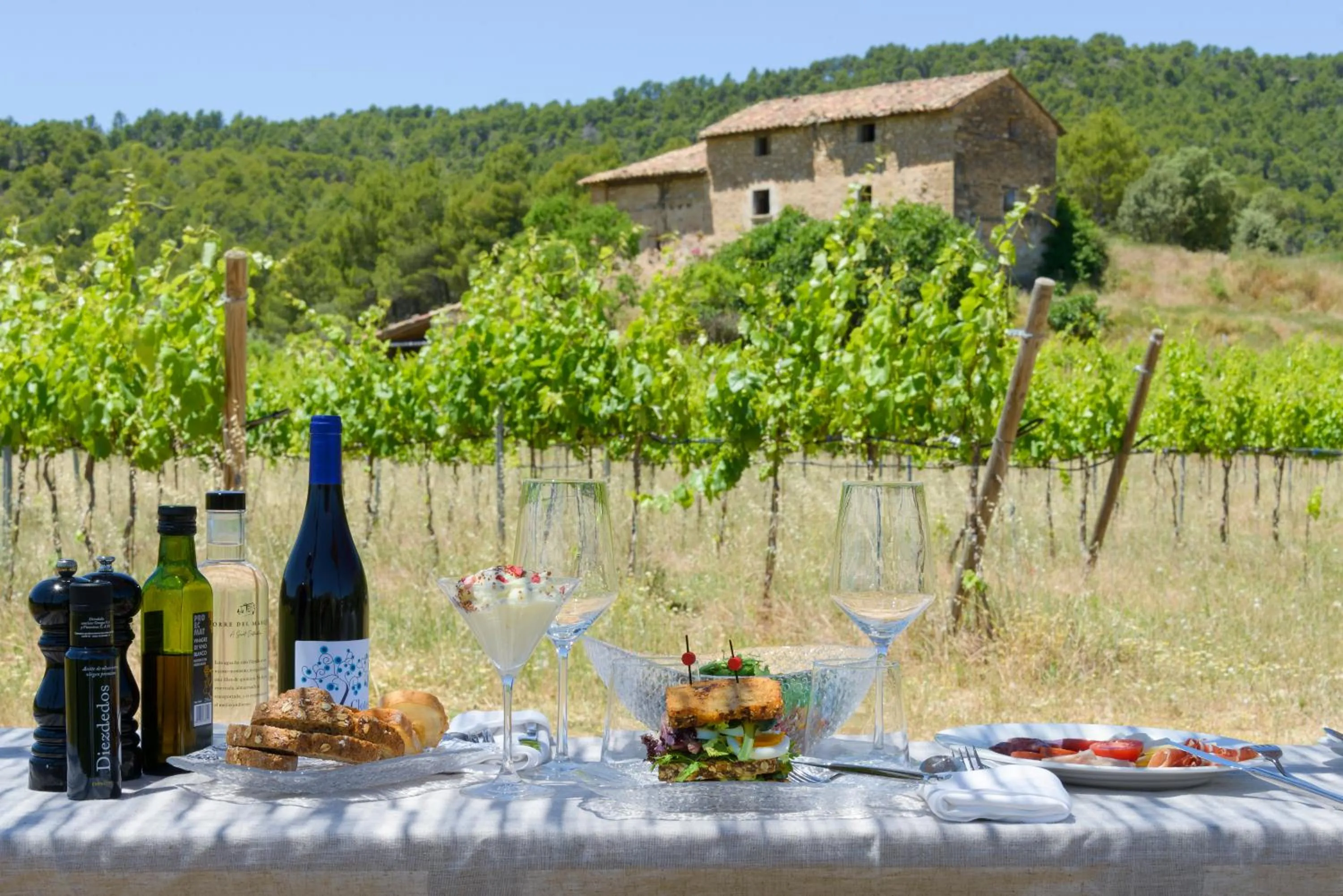 Natural landscape in Torre del Marqués Hotel Spa & Winery - Small Luxury Hotels