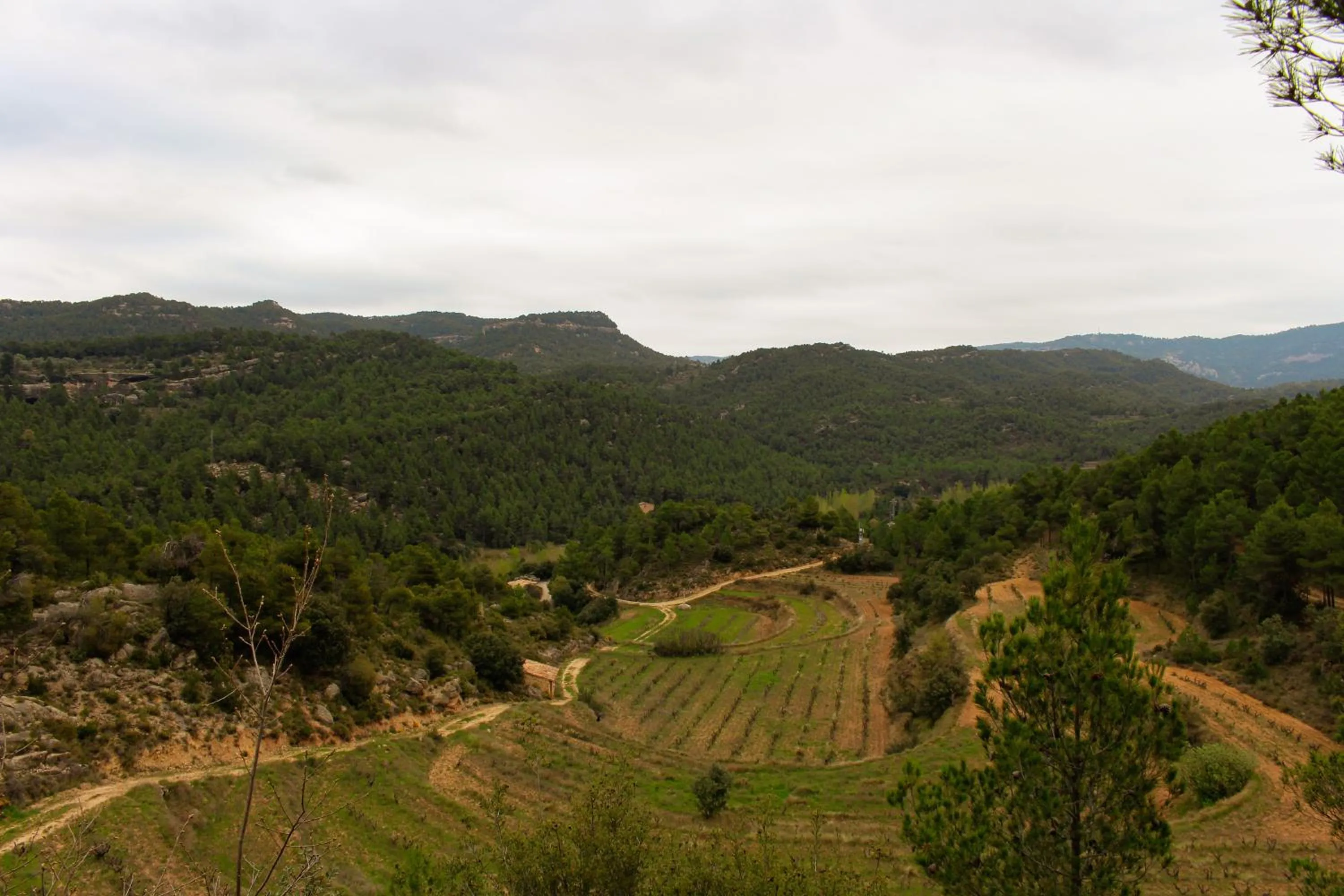 Natural landscape in Torre del Marqués Hotel Spa & Winery - Small Luxury Hotels