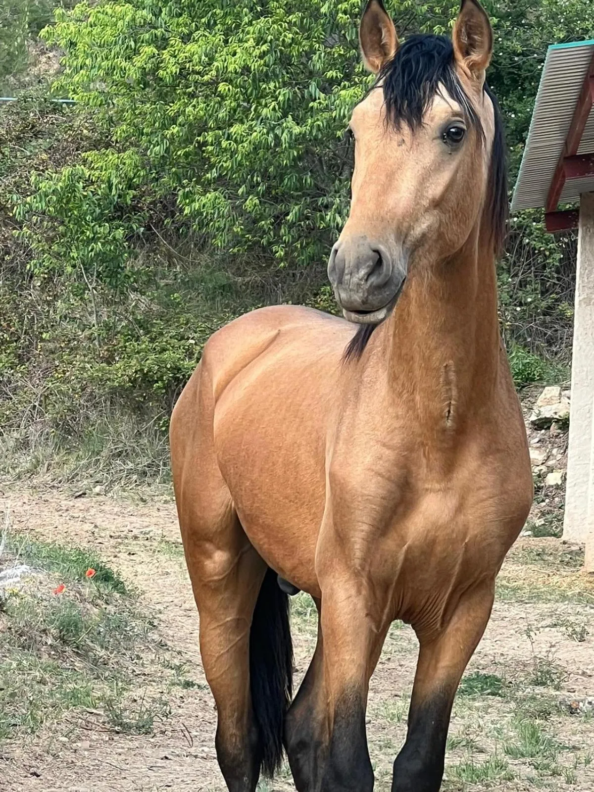 Horse-riding in Torre del Marqués Hotel Spa & Winery - Small Luxury Hotels