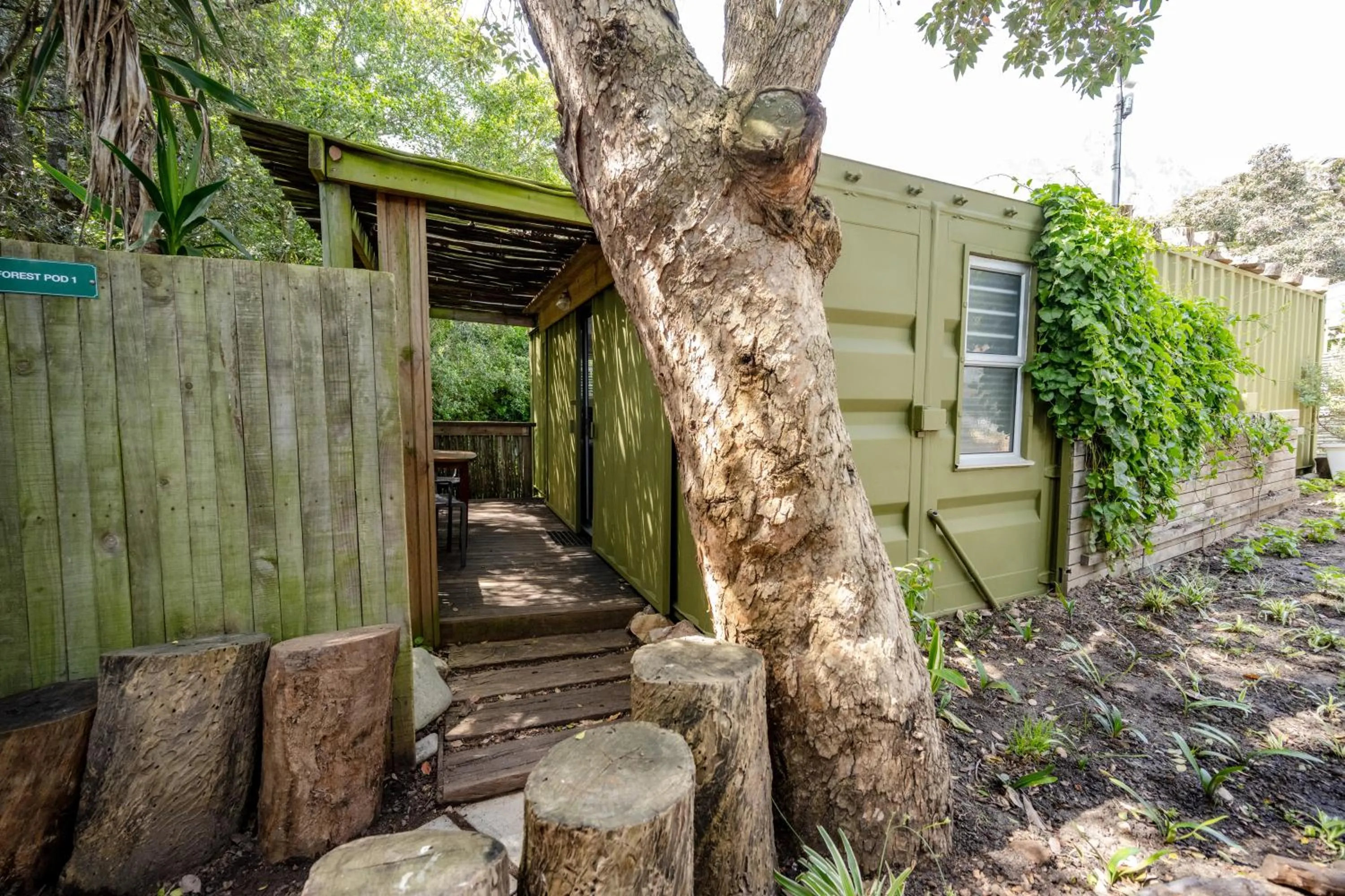 Camps Bay Forest Pods