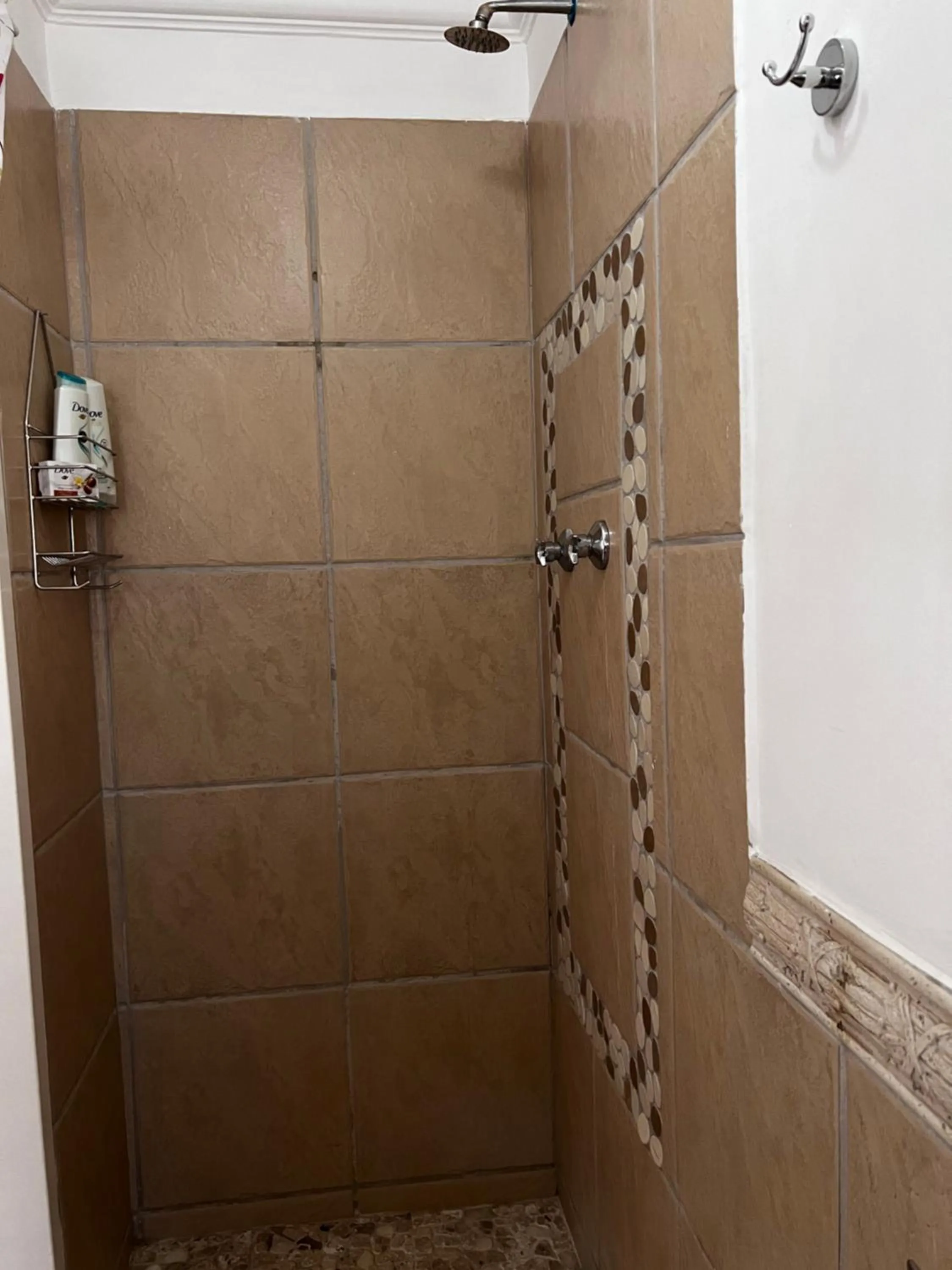 Shower in Silken Trap Guest House NO LOADSHEDDING